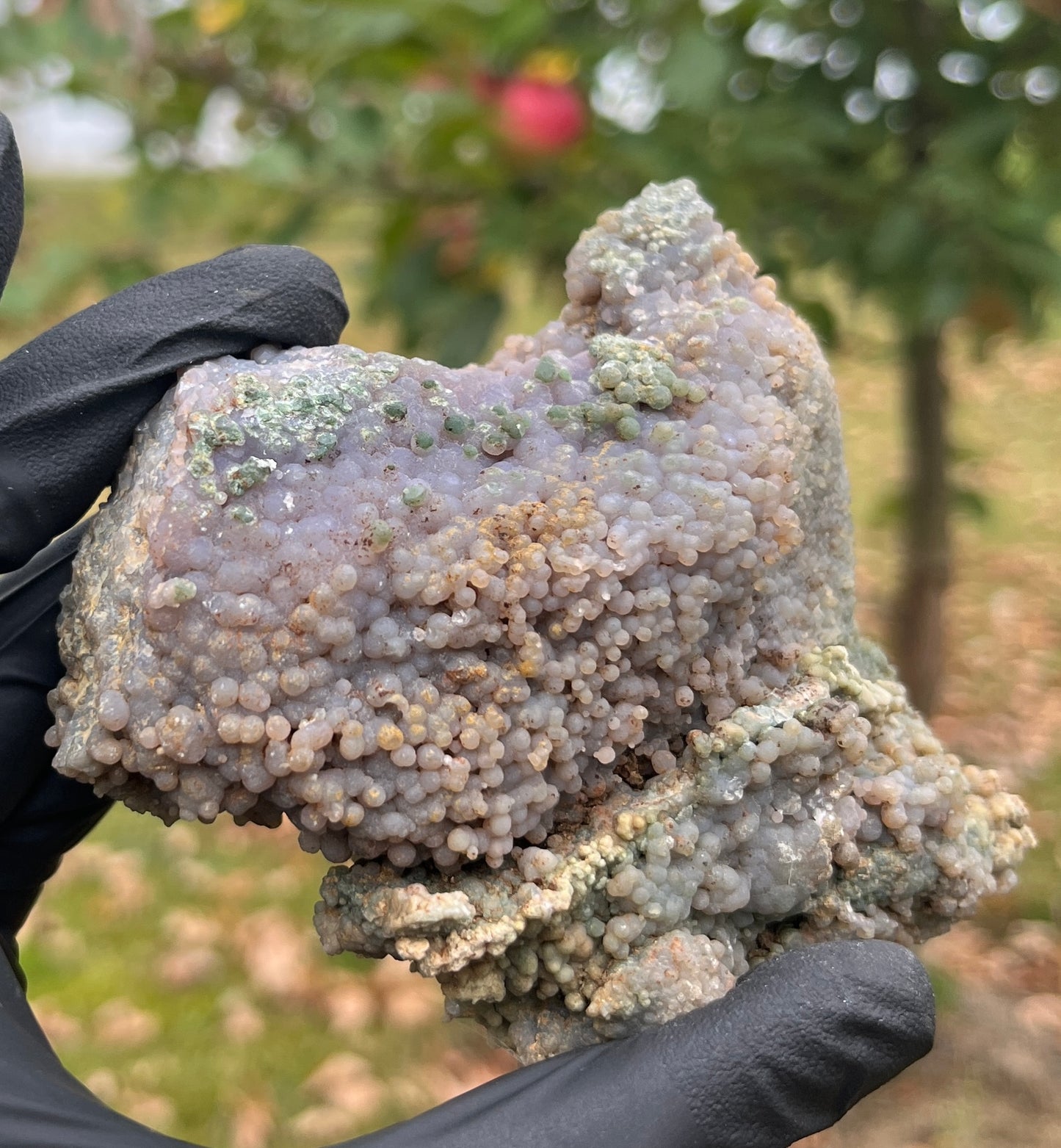 Grape Agate Geode | Botryoidal Chalcedony Crystal Cluster | Raw Mineral Specimen | Home Decor & Collector Piece