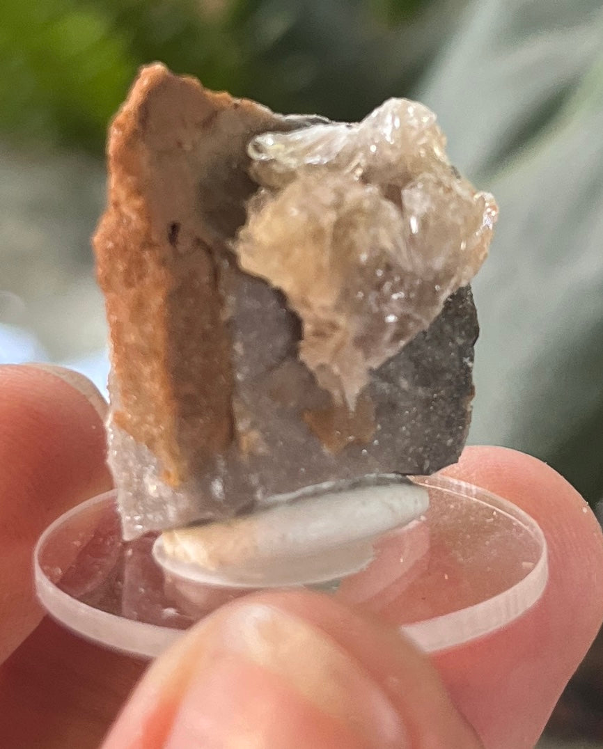 Raw Selenite Starburst Specimen on Matrix | "Ultra Violet" Selenite for