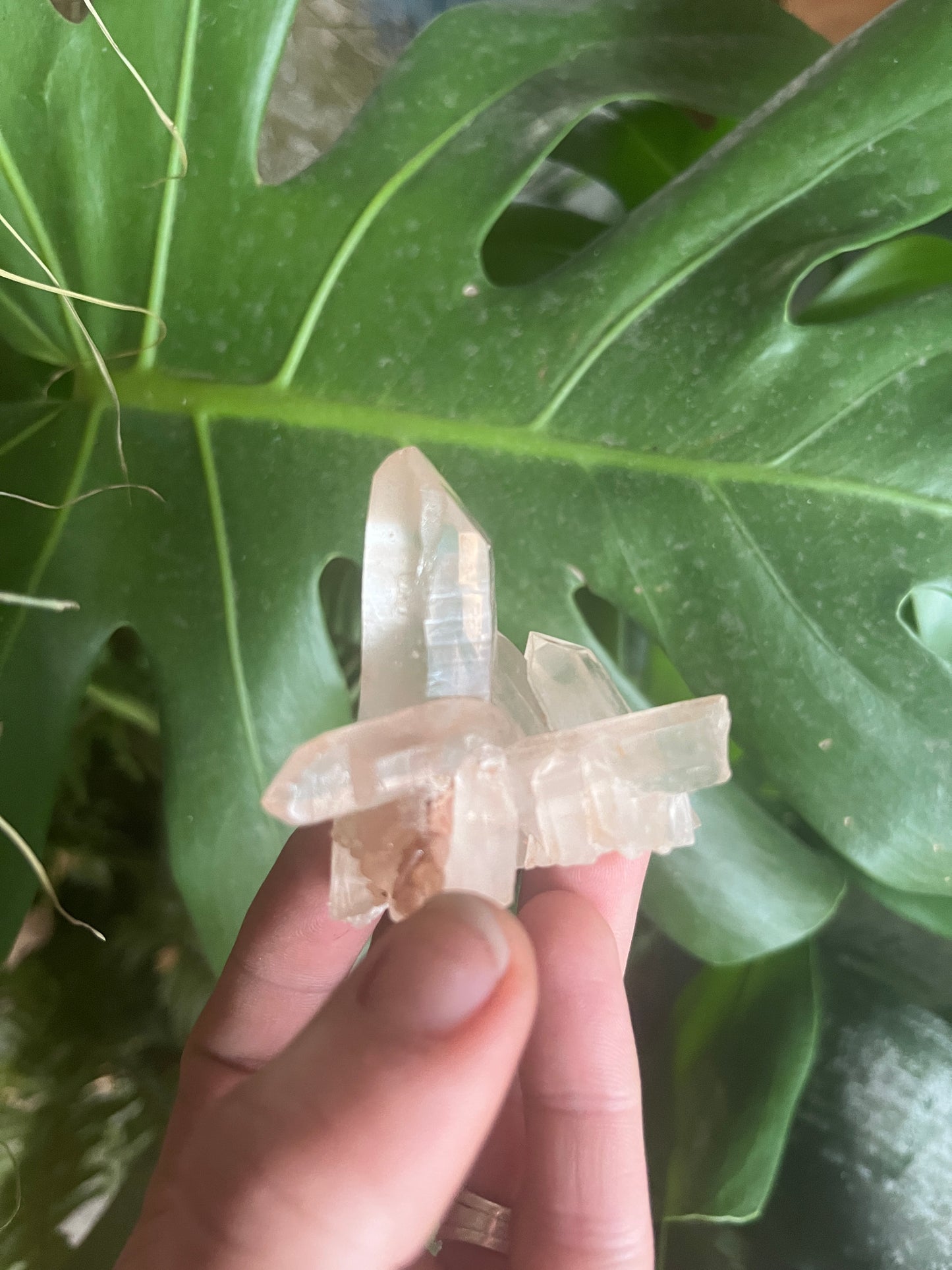 Exceptional Lumarian Quartz Cluster: High-Vibration Energy Amplifier