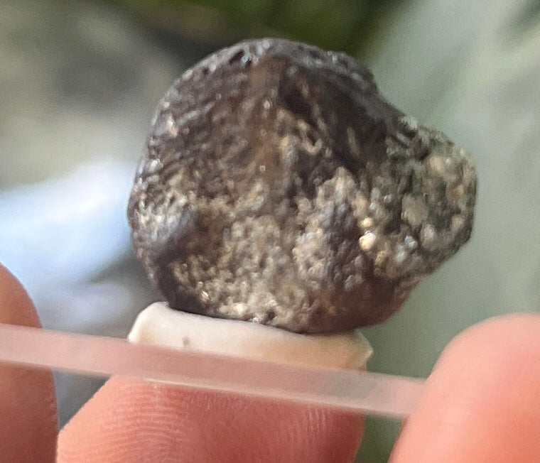Rough Garnet Specimen on Acrylic Base | Natural Dark Red Almandine Garnet