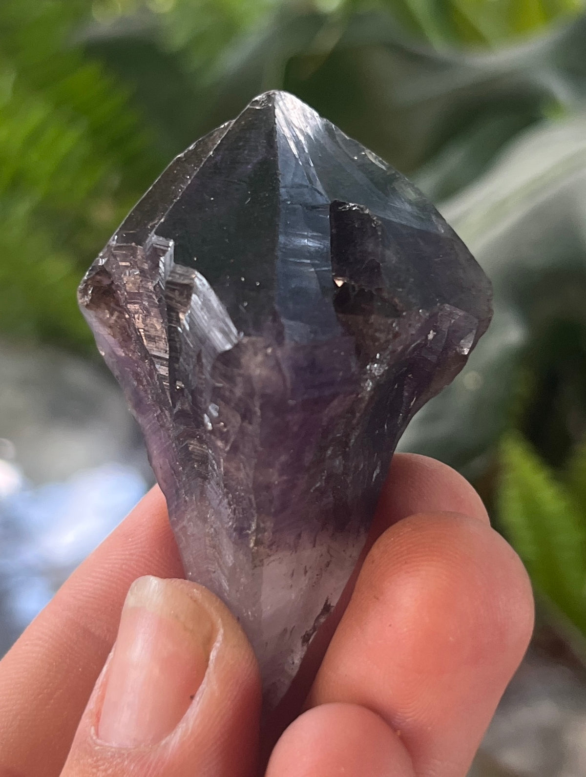Deep Purple Amethyst Point | Raw Quartz Crystal Specimen