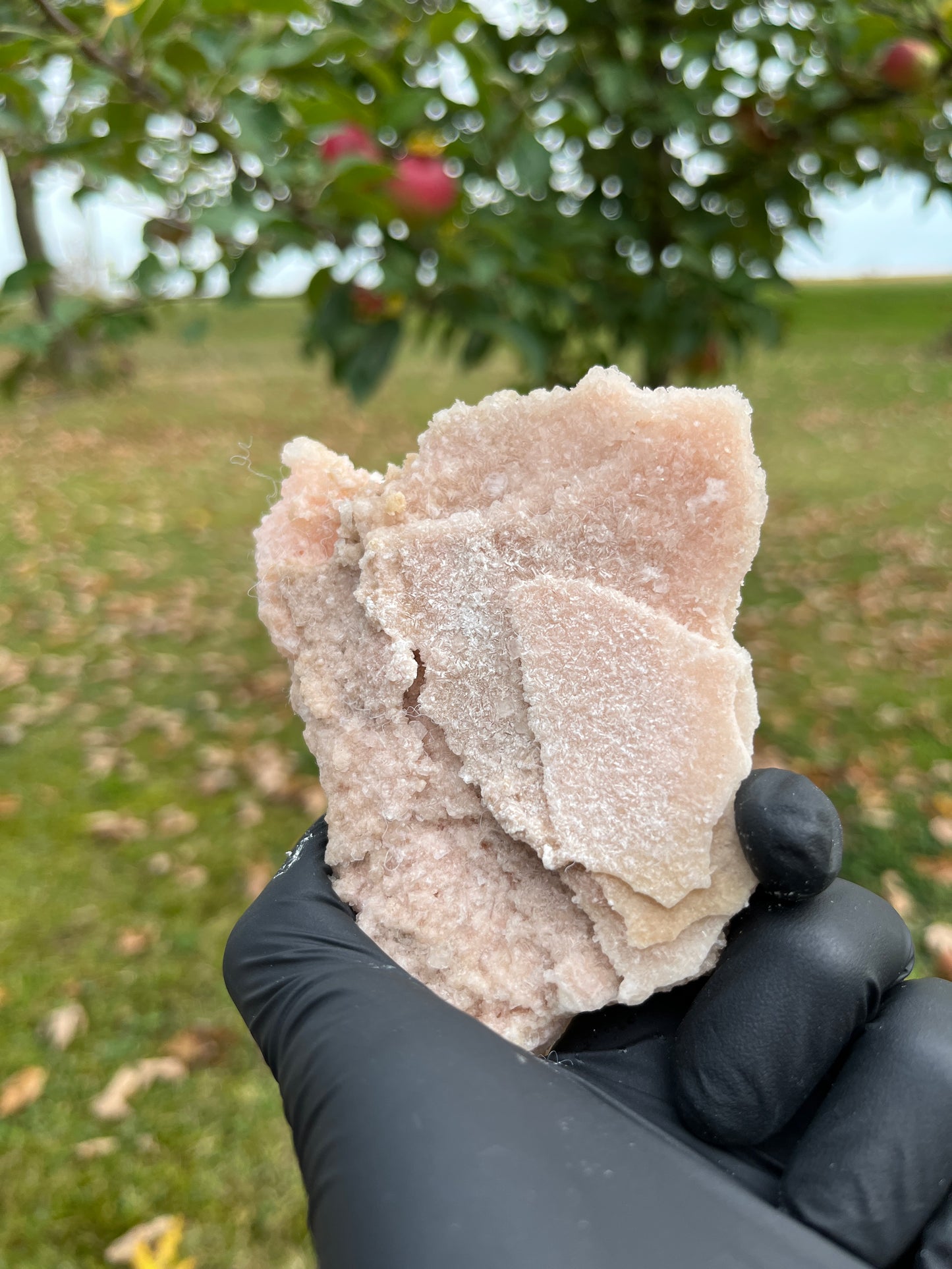 Pink Halite (Salt) Crystal from USA | Natural Salt Crystal Cluster | Cleansing, Purification & High-Vibration Stone
