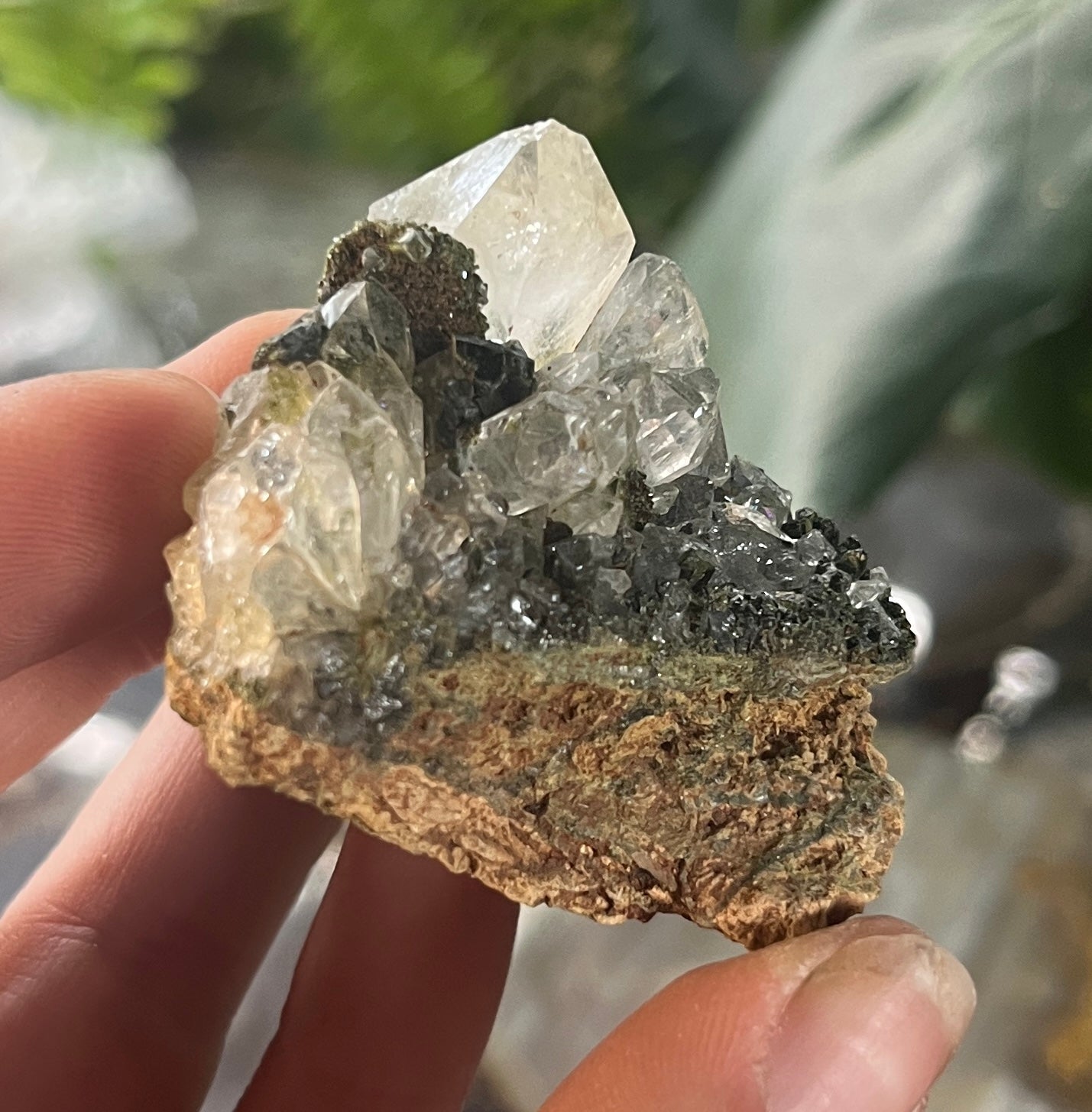Forest Epidote with Quartz – Sparkling Green Growth Crystal