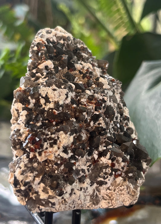 Rare Red Garnet with Smoky Quartz Cluster on Feldspar Matrix | Collector Mineral