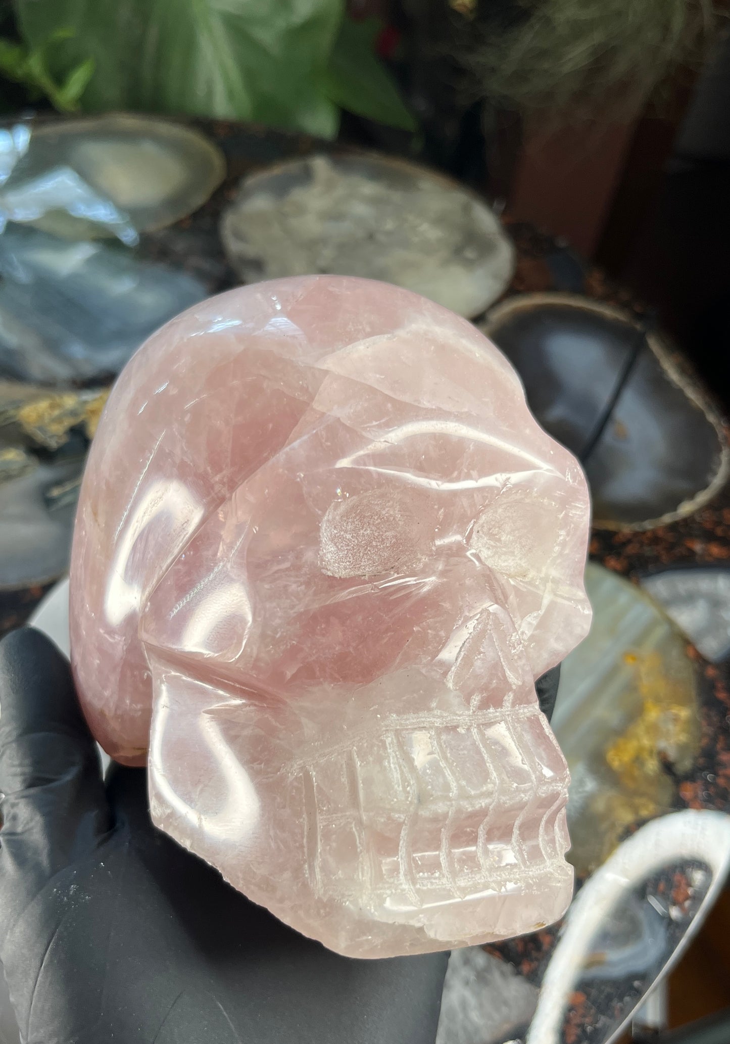 Hand-Carved Rose Quartz Skull – Natural Pink Crystal Sculpture – Large Polished Gemstone Skull for Reiki, Meditation, and Home Decor – One of a Kind