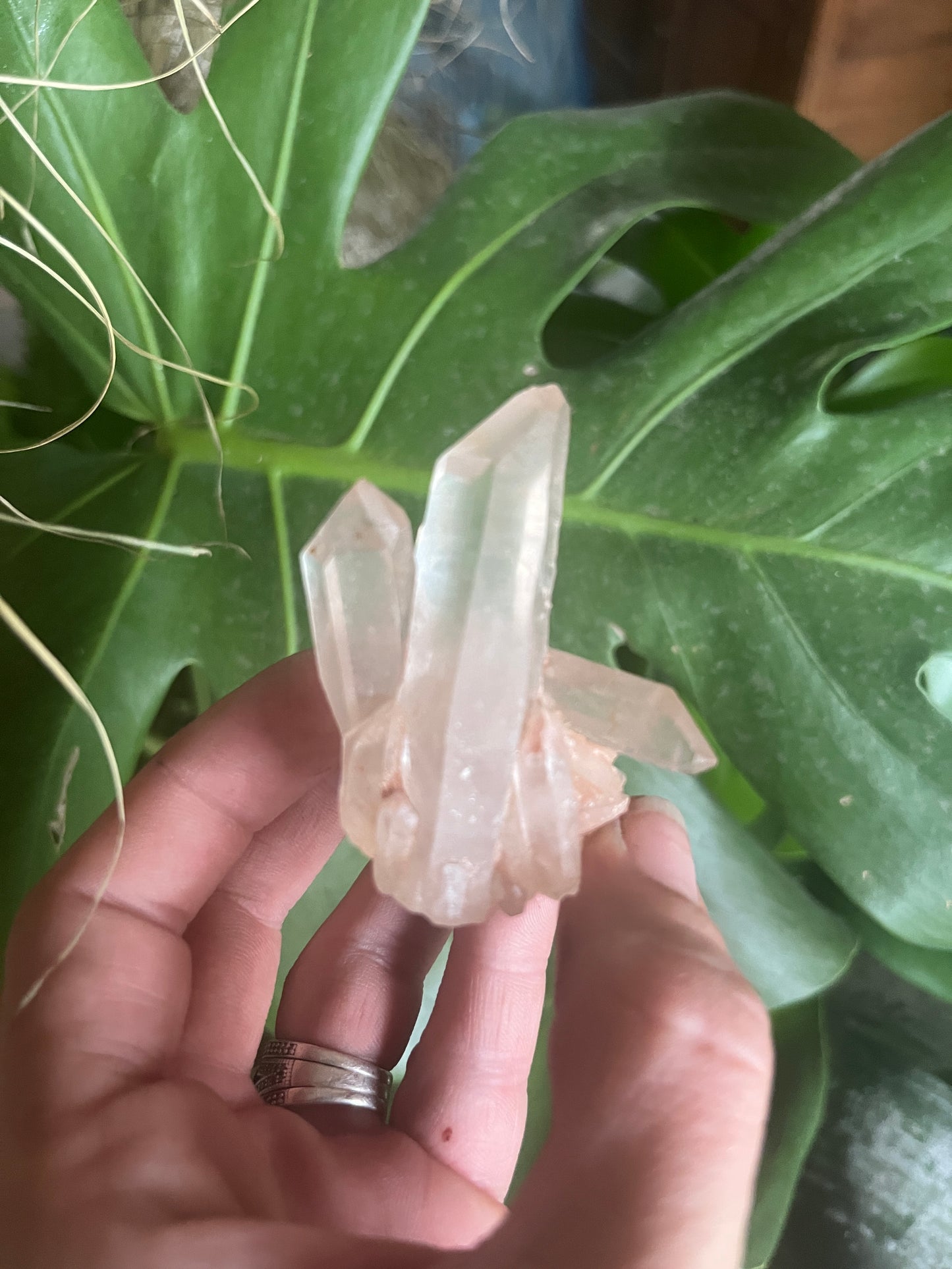 Exceptional Lumarian Quartz Cluster: High-Vibration Energy Amplifier