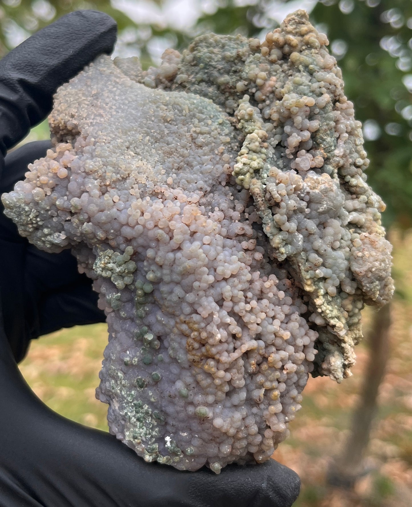 Grape Agate Geode | Botryoidal Chalcedony Crystal Cluster | Raw Mineral Specimen | Home Decor & Collector Piece