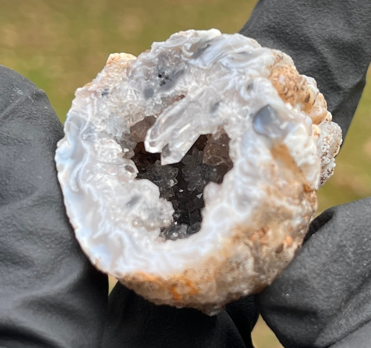 Quartz Crystal Geode Half - Natural Druzy & Agate Formation - Raw Mineral Specimen - Home Decor & Crystal Healing Gift