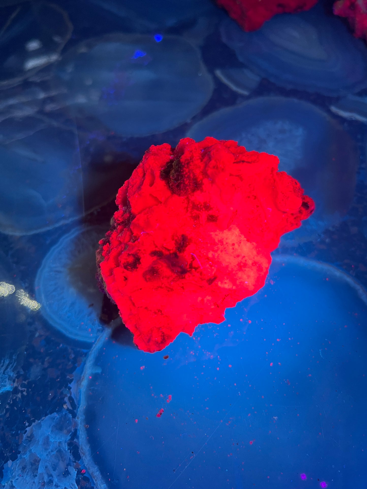 Fluorescent Honeycomb Ruby Specimen - UV Reactive Corundum - Raw Magenta Ruby Crystal - Rare Mineral Decor -