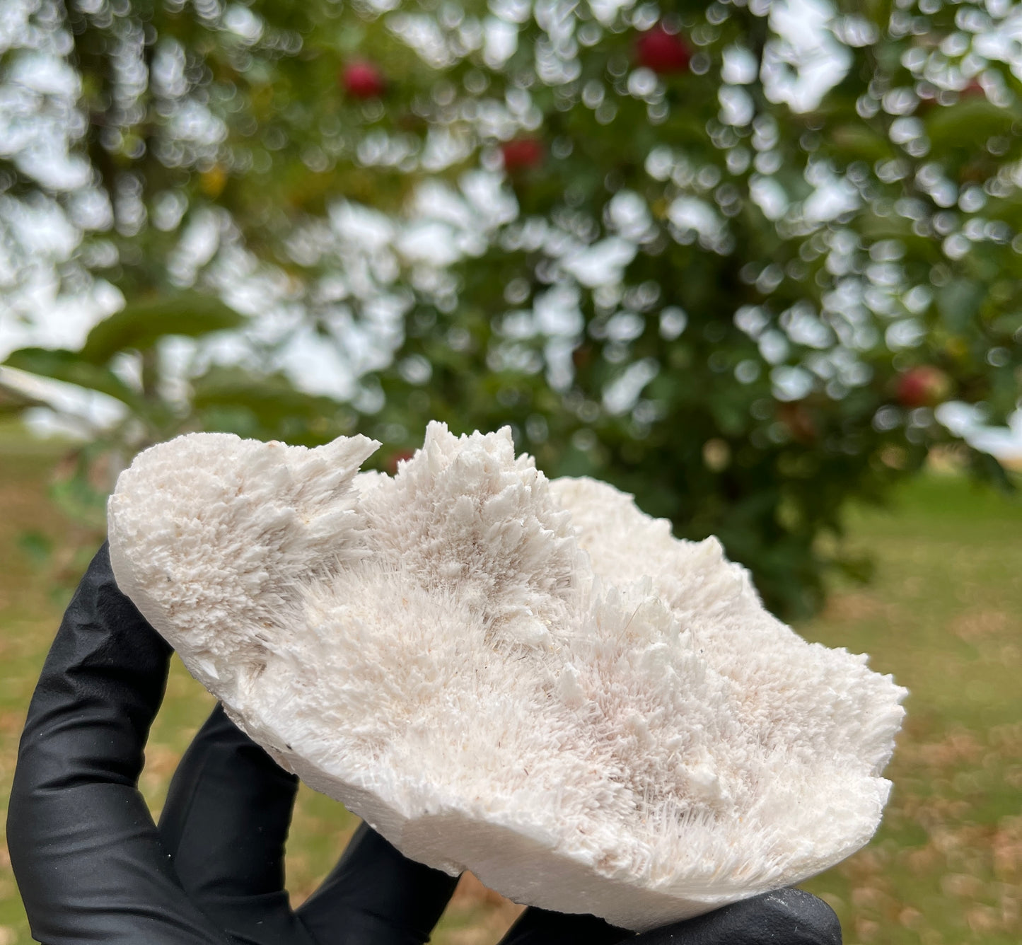 Large Rare Scolecite Specimen | Natural Zeolite Crystal | Unique Spiky Mineral Cluster | High-Vibration Stone for Peace & Tranquility | Crystal Decor