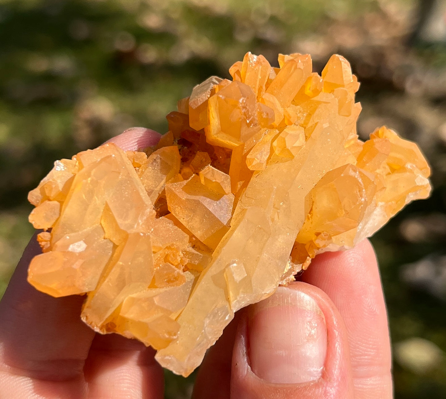 Natural Hematoid Quartz Cluster • Vibrant Orange Tangerine Quartz • Raw Crystal Home Decor