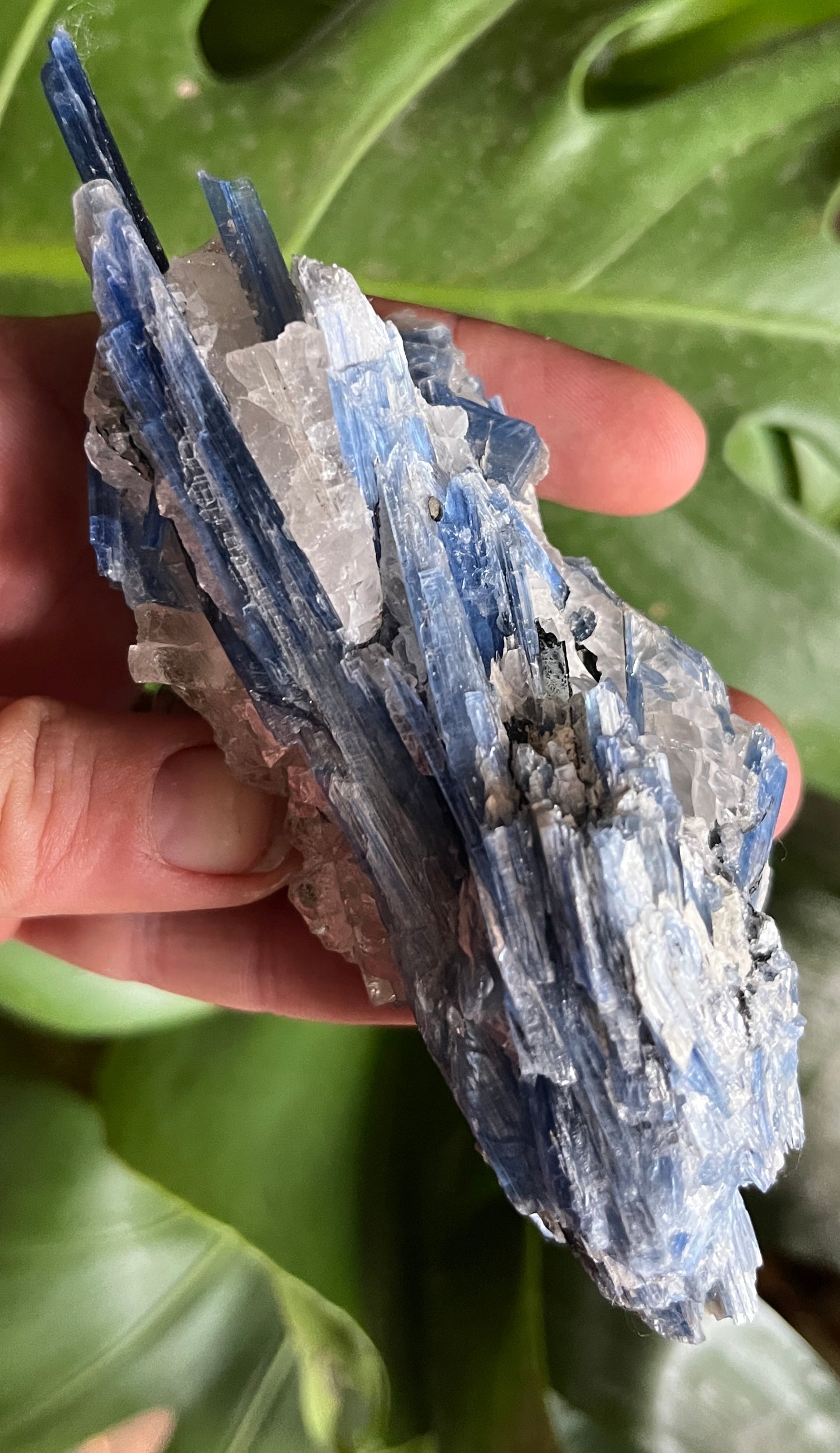 High-Grade Blue Kyanite with Quartz Cluster | Raw Crystal Specimen for Alignment & Communication