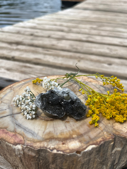 Raw Rare Black Amethyst Cluster - Deep Charcoal Druzy Geode Specimen from