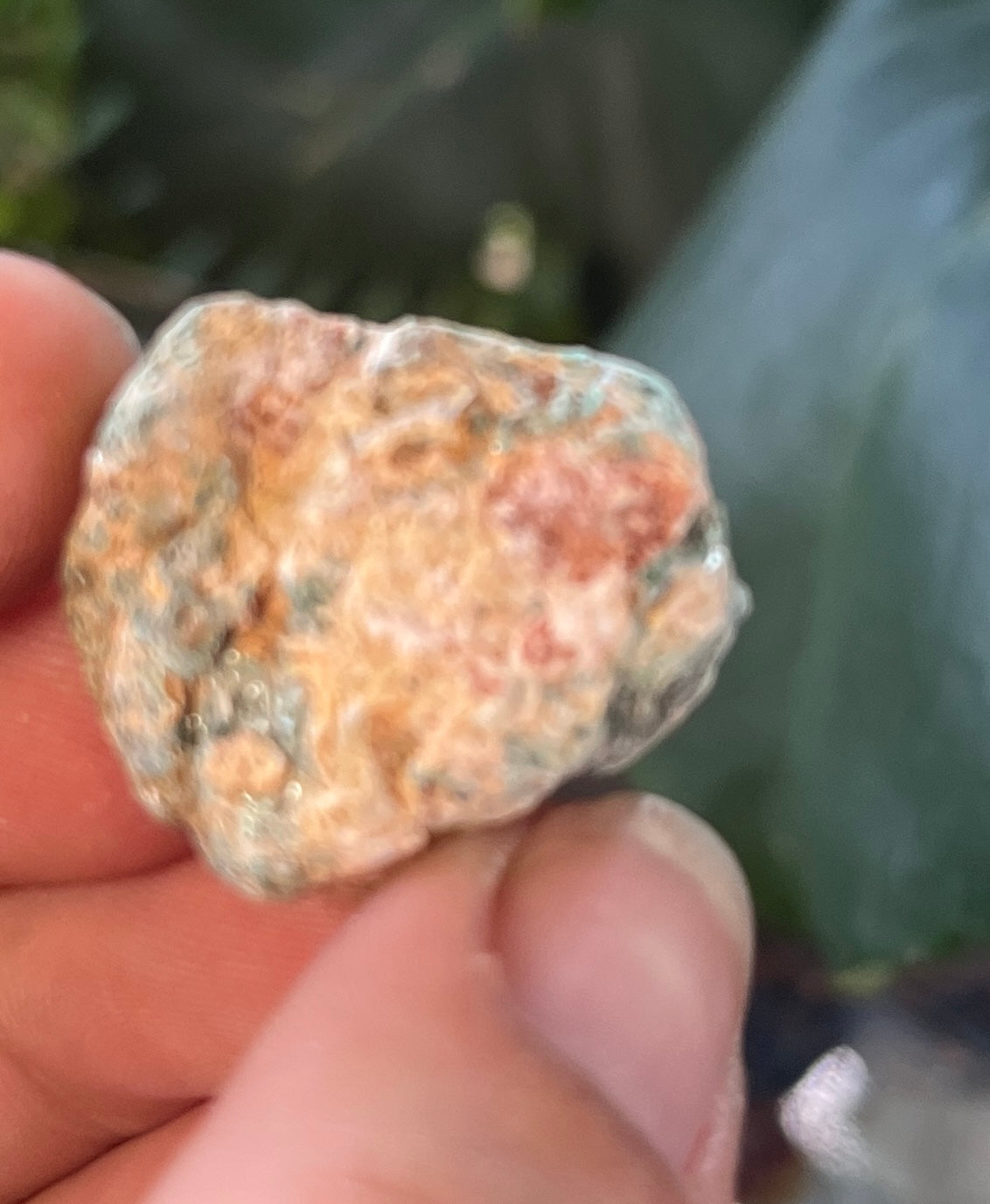 Natural Ruby in Fuchsite Specimen | Raw Ruby Crystal Specimen