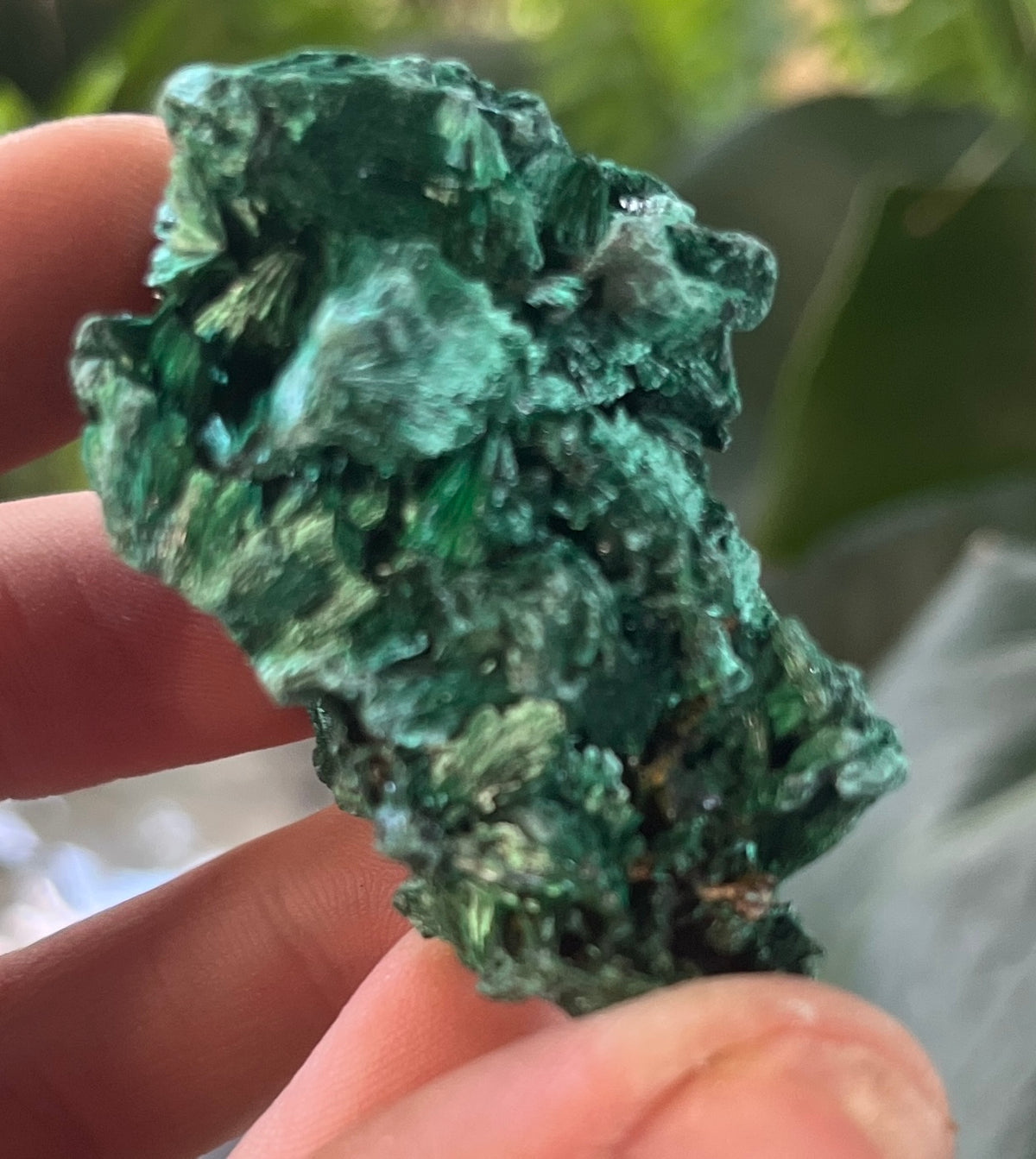High-Grade Raw Velvet Fibrous Malachite Specimen – Natural Deep Green Crystal