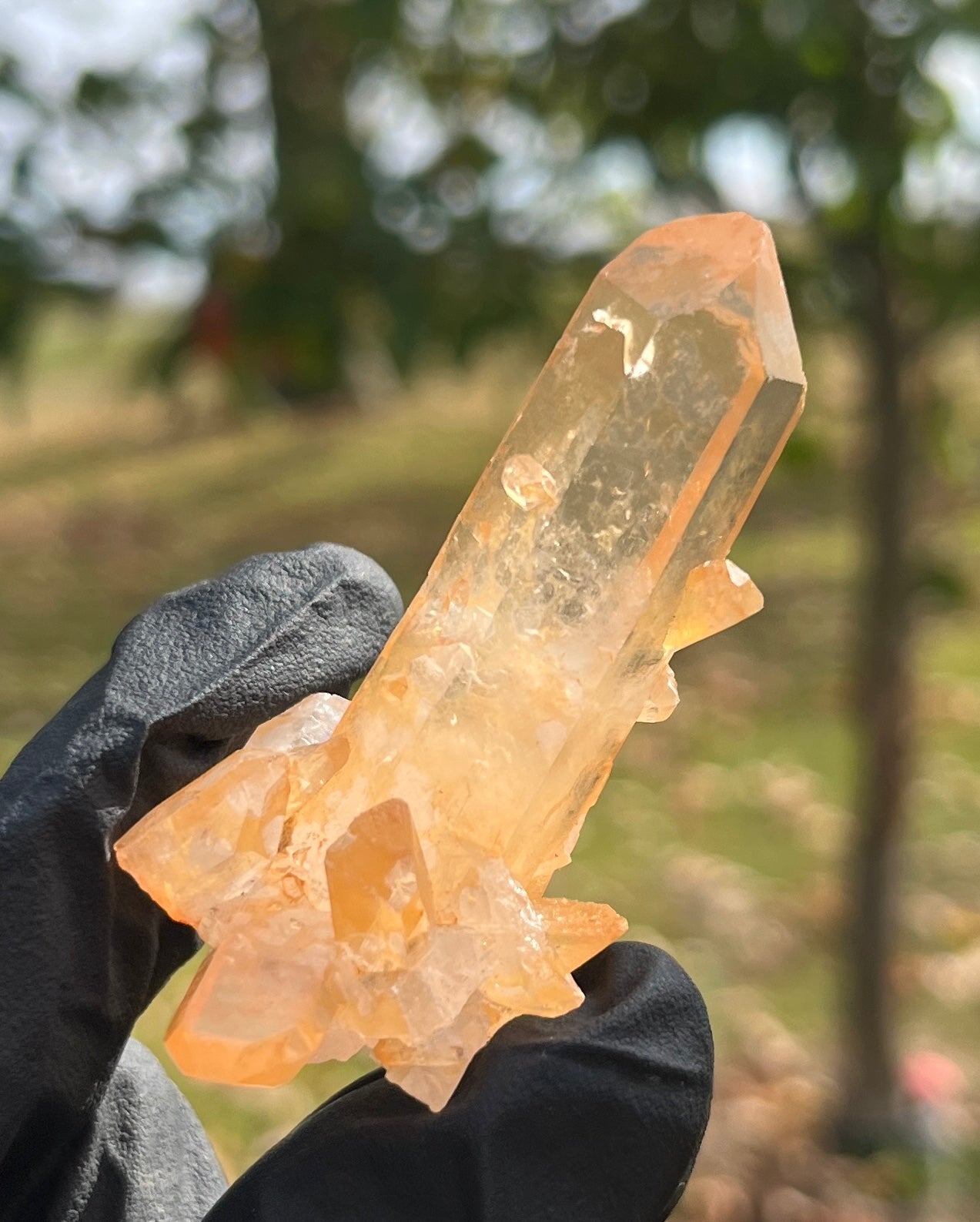Natural Orange Hematoid Quartz Crystal Cluster | Raw Tangerine Quartz Specimen | High Quality Quartz | Crystal Grids & Healing