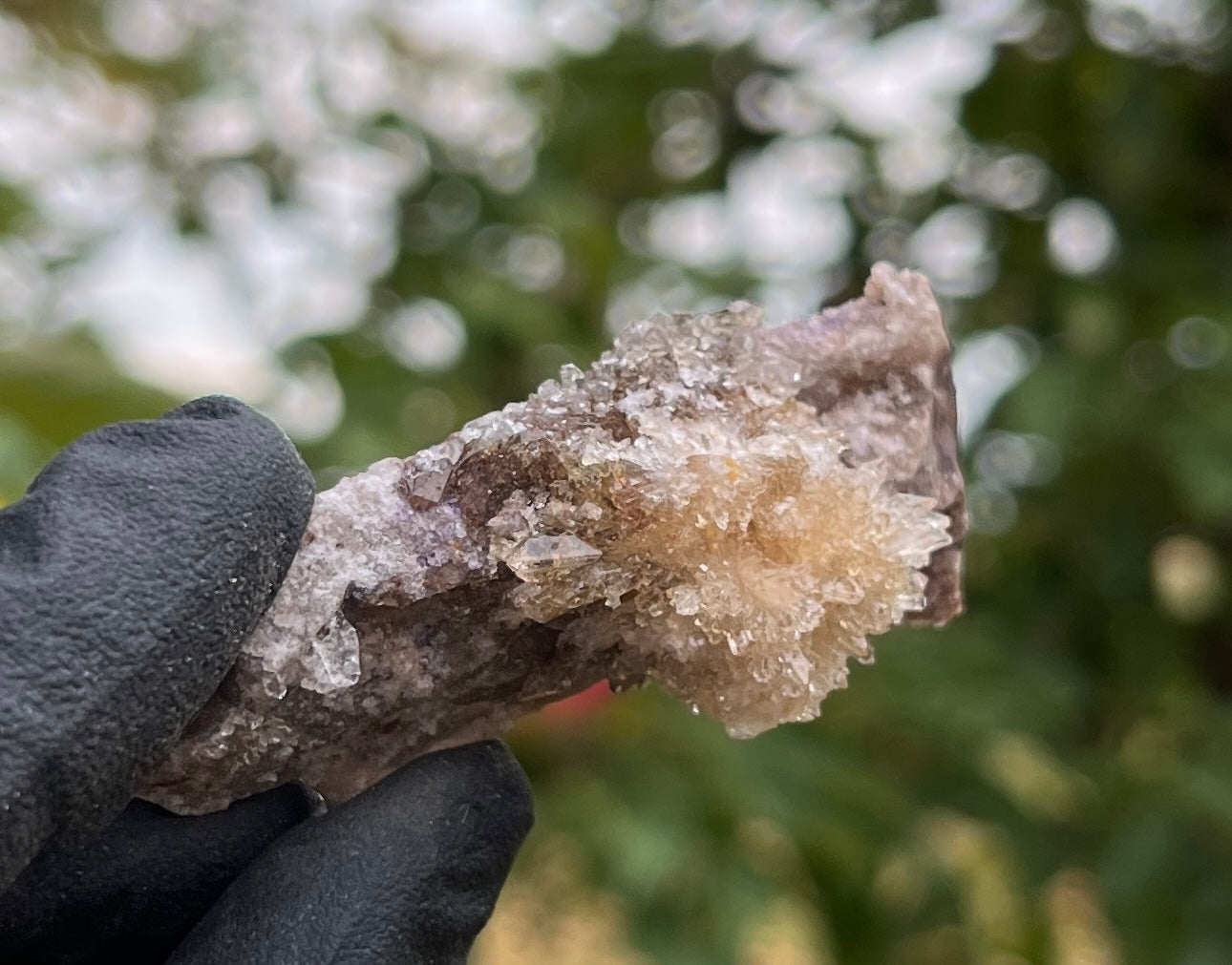 Raw Selenite Starburst Specimen on Matrix | "Ultra Violet" Selenite for Cleansing & High Vibration