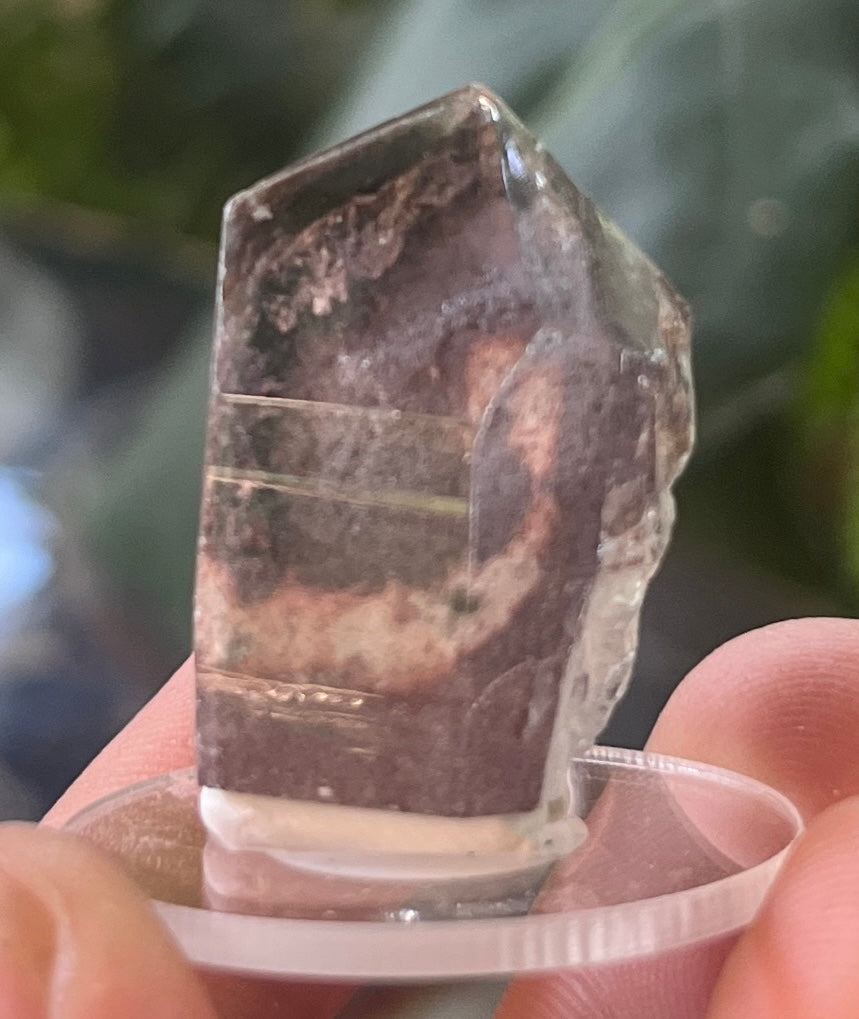 Clear Garden Quartz Speciem | Lodolite Quartz Point