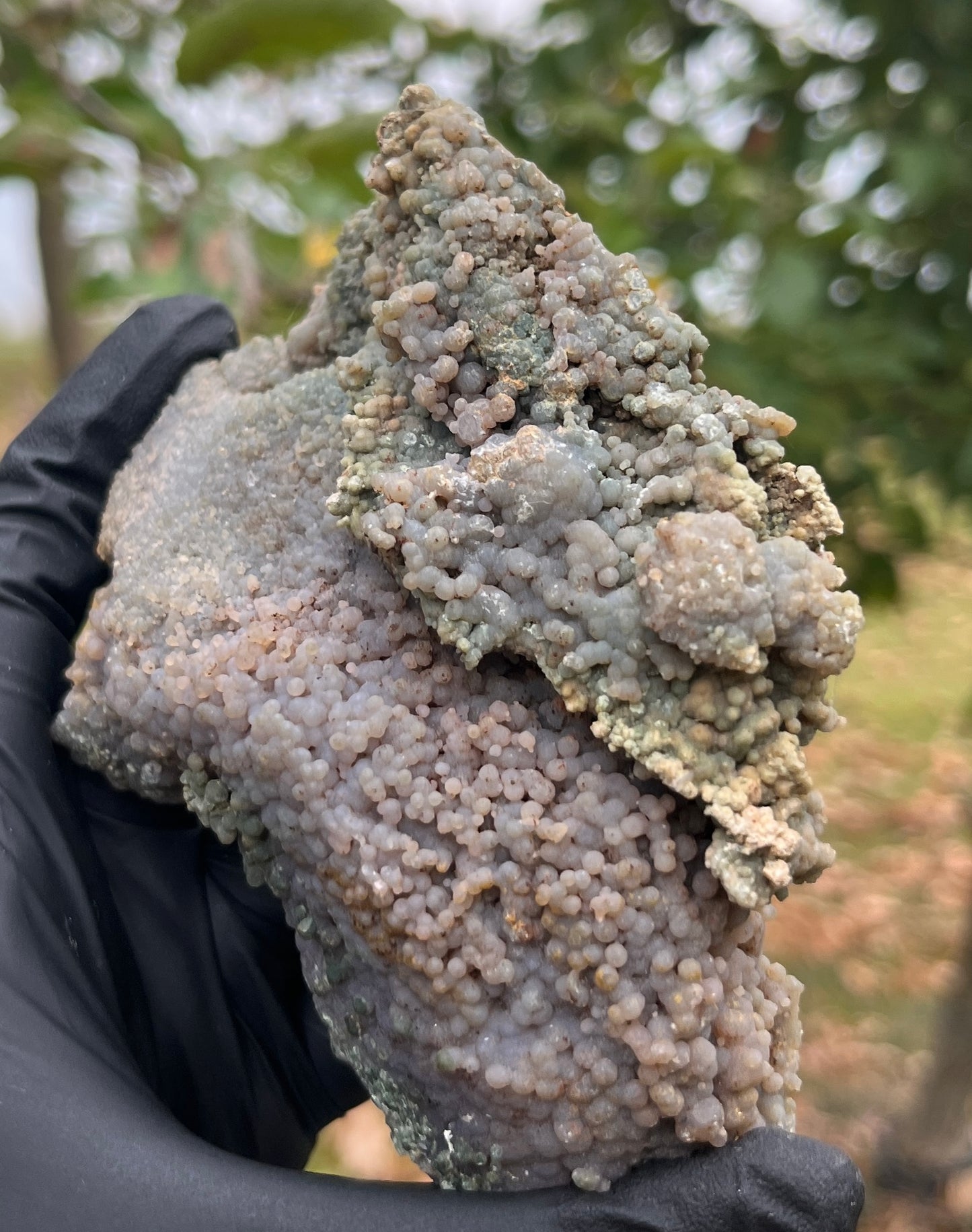 Grape Agate Geode | Botryoidal Chalcedony Crystal Cluster | Raw Mineral Specimen | Home Decor & Collector Piece