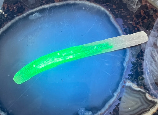 Ram's Horn Selenite Crystal | UV Reactive Mineral | Selenite Specimen for Energy Cleansing & Charging | Ulta Violet Crystal