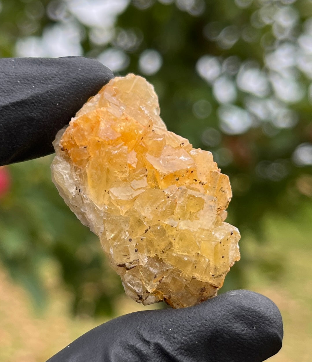 Raw Yellow Fluorite Crystal | Golden Fluorite Specimen | Natural Healing Stone for Focus, Creativity & Positivity | Spiritual Gift
