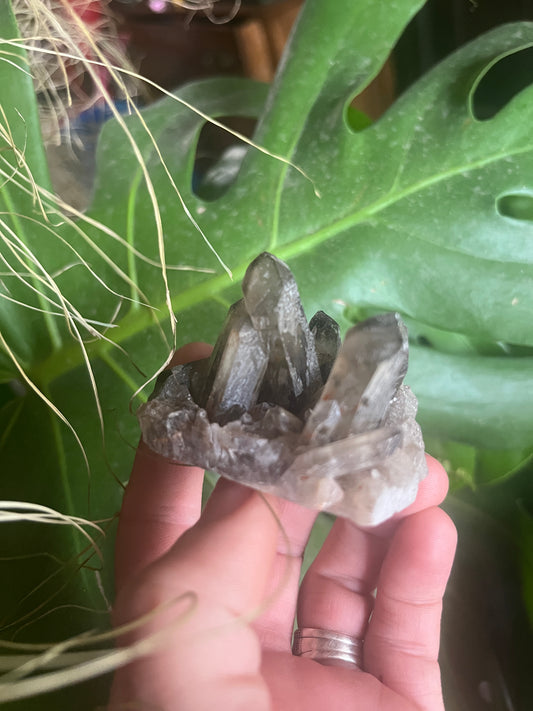 Natural Smoky Quartz Cluster | Dark Crystal Point Specimen