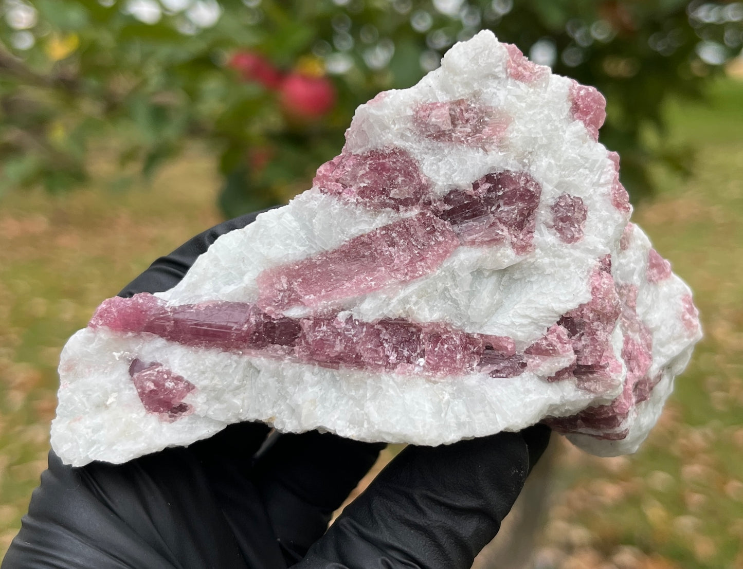 Pink Tourmaline in Matrix Specimen | Natural Rubellite Crystal for Heart Chakra & Emotional Healing