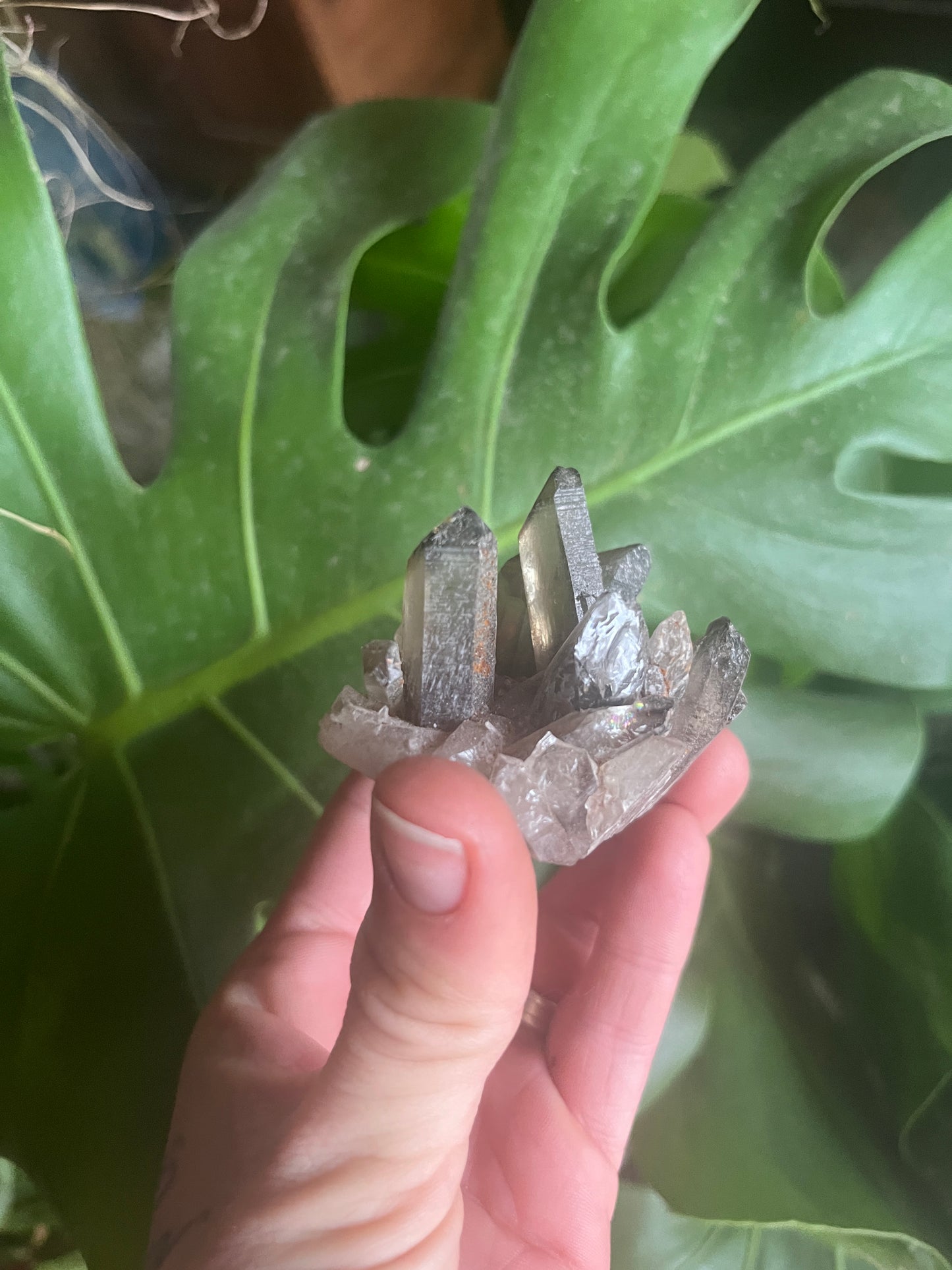 Natural Smoky Quartz Cluster | Dark Crystal Point Specimen | Healing Crystal for Grounding & Protection | Rare Home Decor Gift