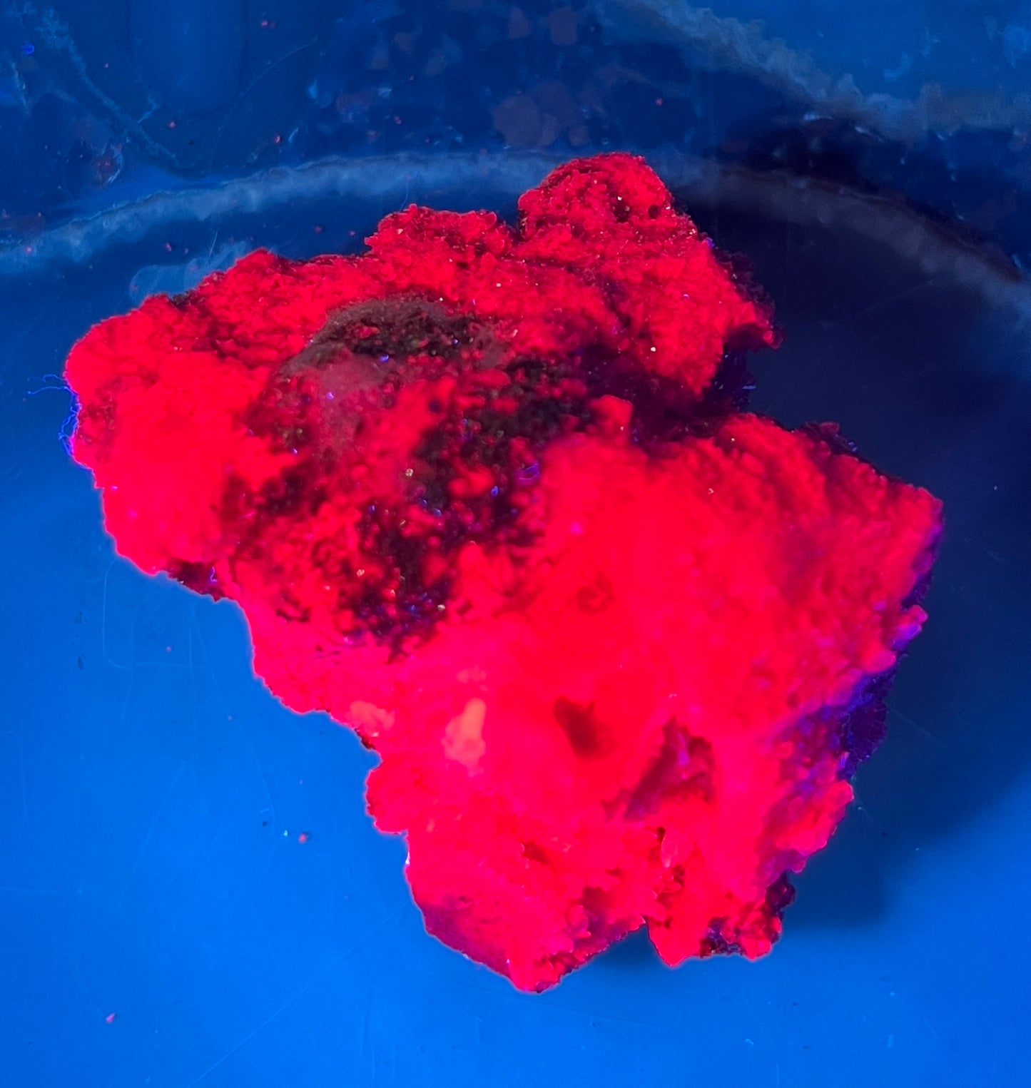 Fluorescent Honeycomb Ruby Specimen - UV Reactive Corundum - Raw Magenta Ruby Crystal - Rare Mineral Decor -