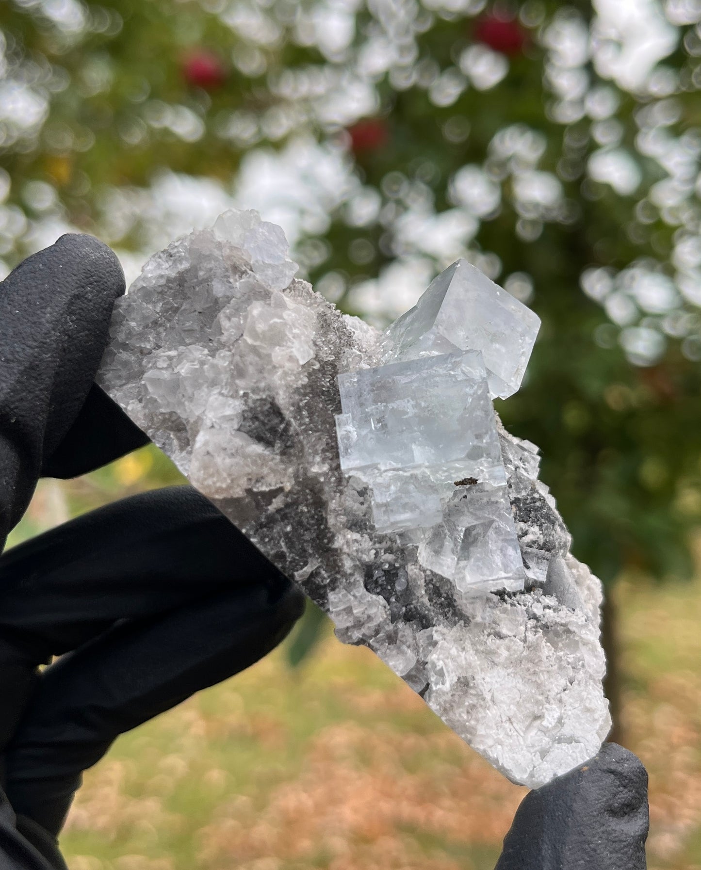 Blue Fluorite Cubes on Matrix | Natural Crystal Cluster from China | Focus, Clarity & Protection Stone