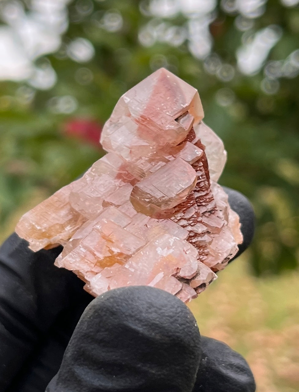 Red Phantom Calcite Cluster | Rare Natural Crystal | Healing Stone for Energy & Motivation