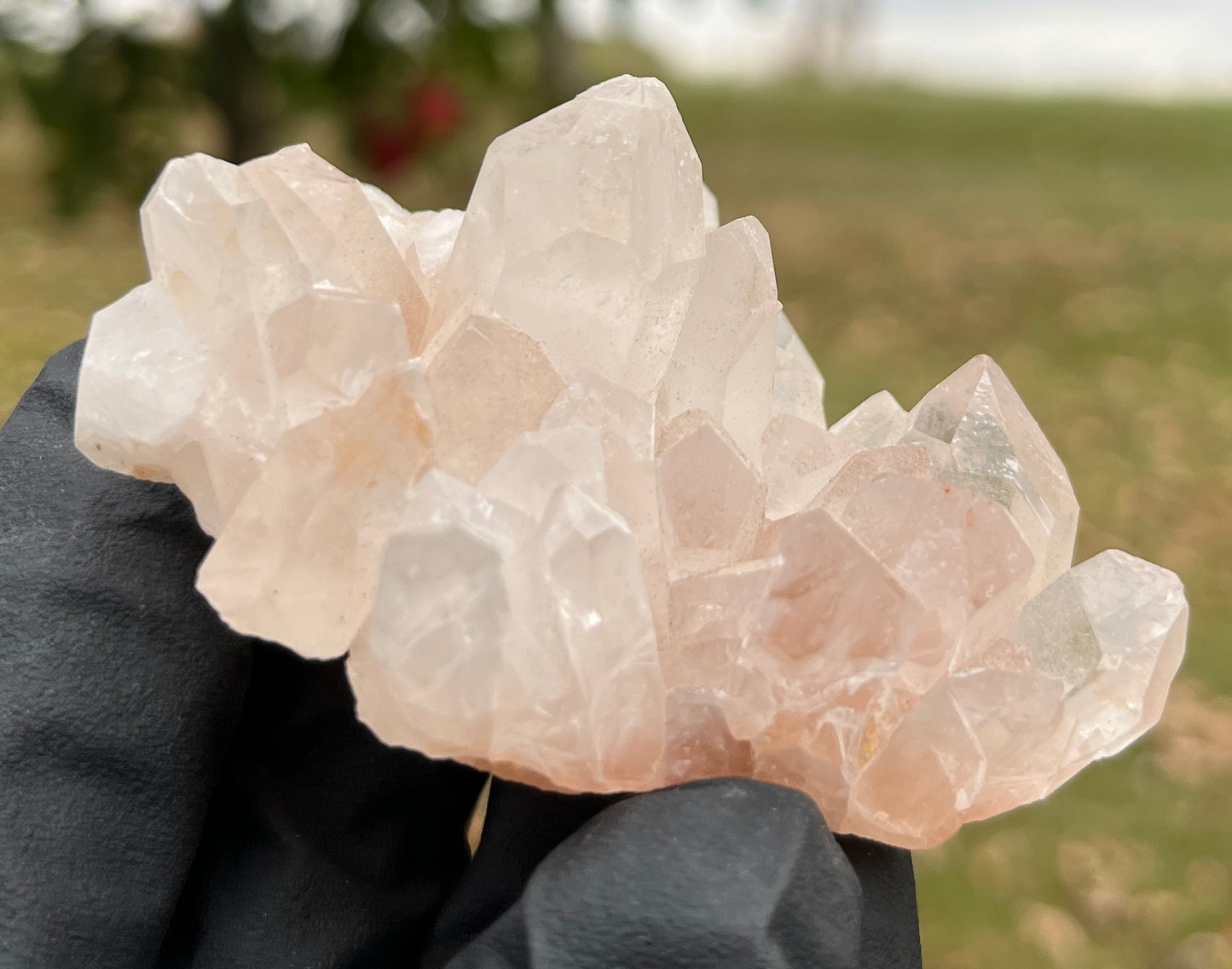 Natural Orange Hematoid Quartz Crystal Cluster | Raw Tangerine Quartz Specimen | High Quality Quartz | Crystal Grids & Healing