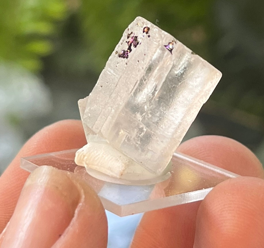 Natural Selenite Crystal with Chalcopyrite Inclusion, Mineral Specimen