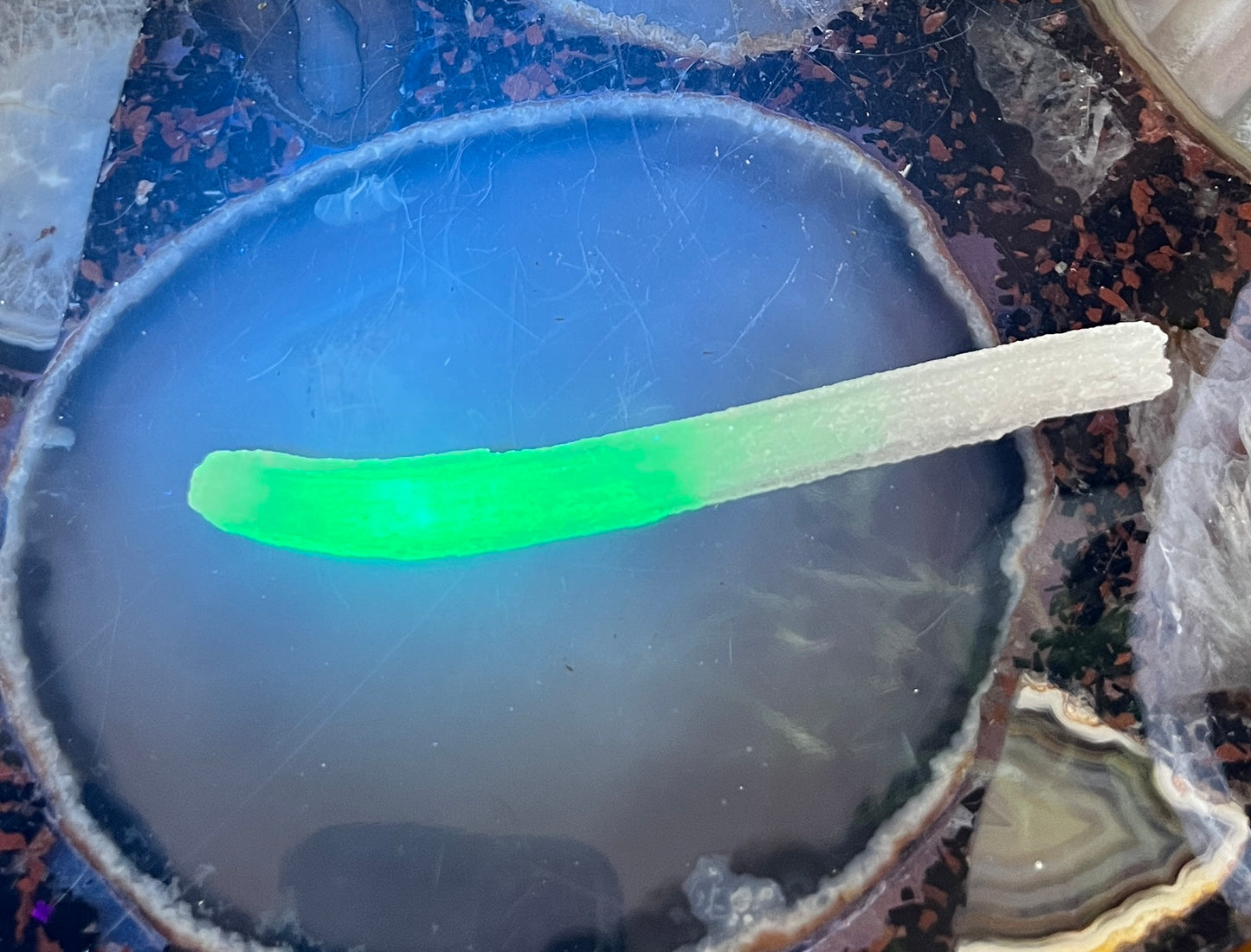 Ram's Horn Selenite Crystal | UV Reactive Mineral | Selenite Specimen for Energy Cleansing & Charging | Ulta Violet Crystal