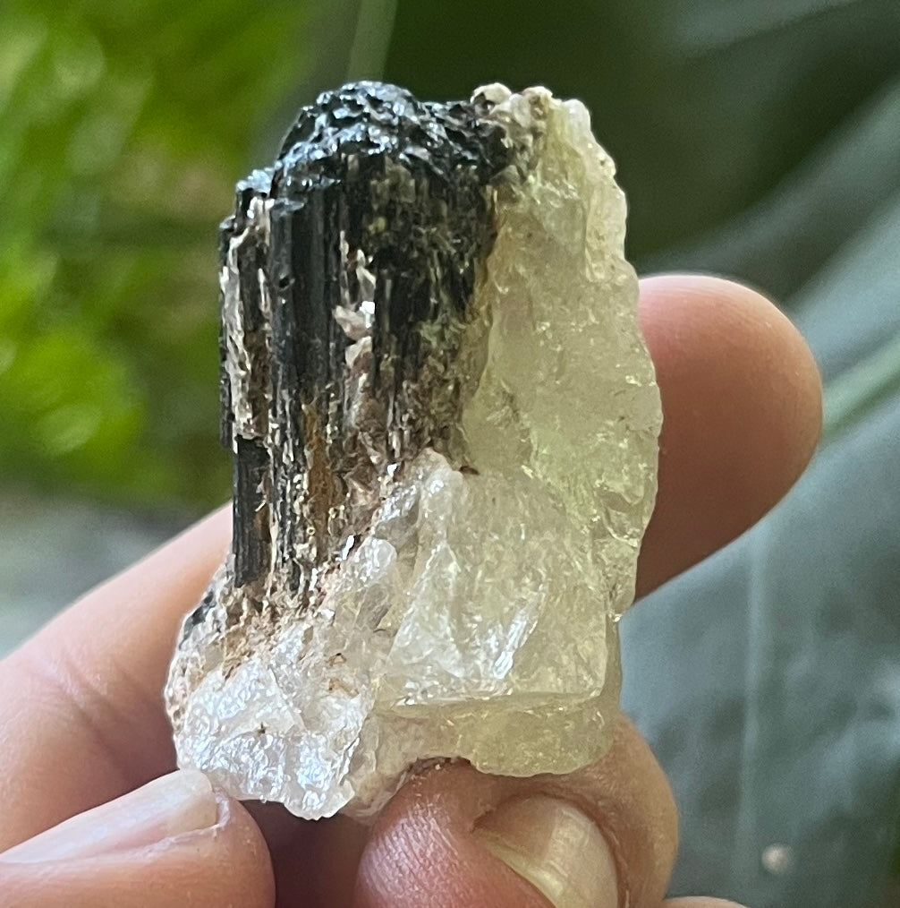 Raw Black Tourmaline in Calcite Specimen - Natural Schorl Crystal Cluster