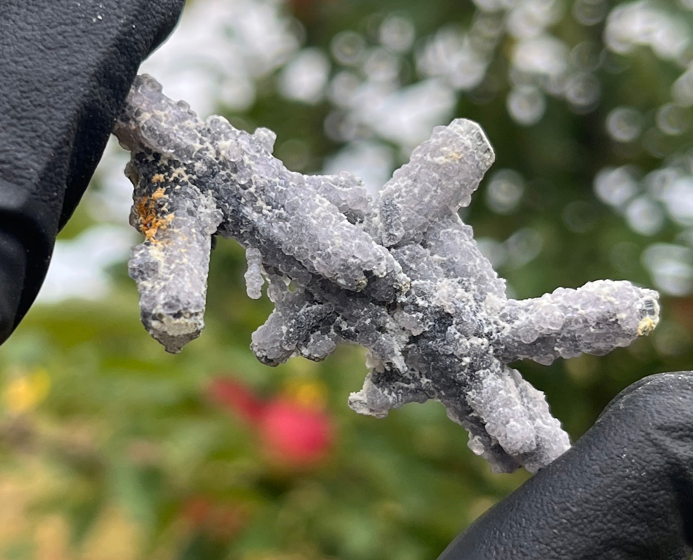 Stibnite with Fluorite Cluster | UV Reactive Crystal Specimen | Fluorescent Mineral