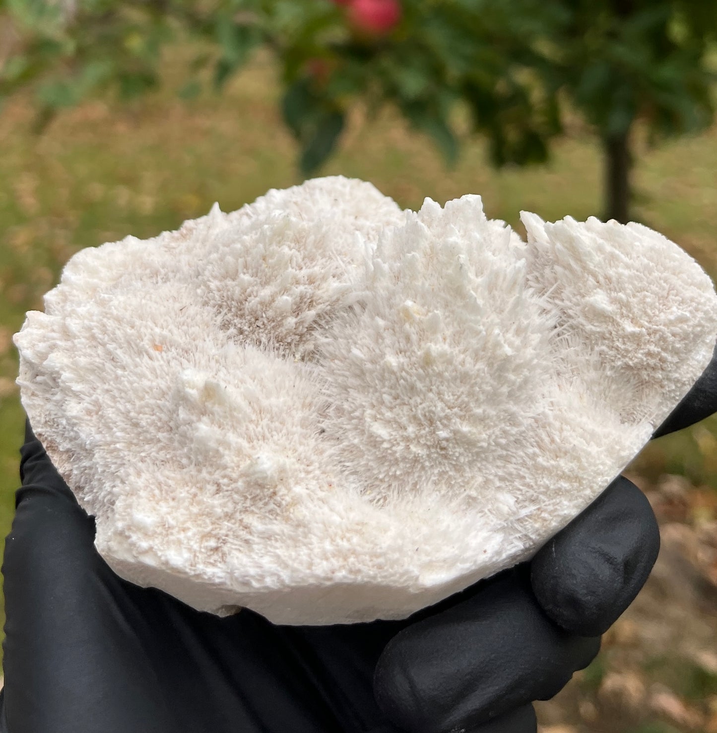 Large Rare Scolecite Specimen | Natural Zeolite Crystal | Unique Spiky Mineral Cluster | High-Vibration Stone for Peace & Tranquility | Crystal Decor
