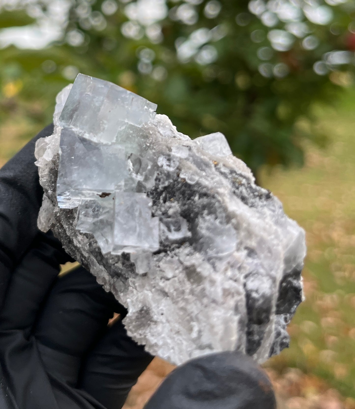 Blue Fluorite Cubes on Matrix | Natural Crystal Cluster from China | Focus, Clarity & Protection Stone