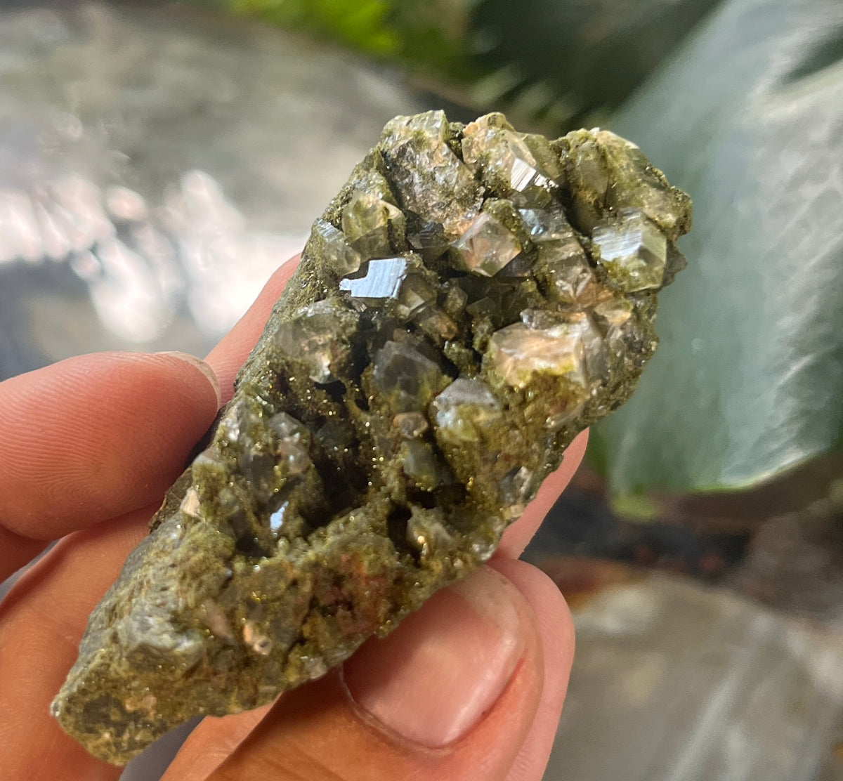 Rare Forest Epidote with Druzy Quartz – Sparkling Green Growth Crystal