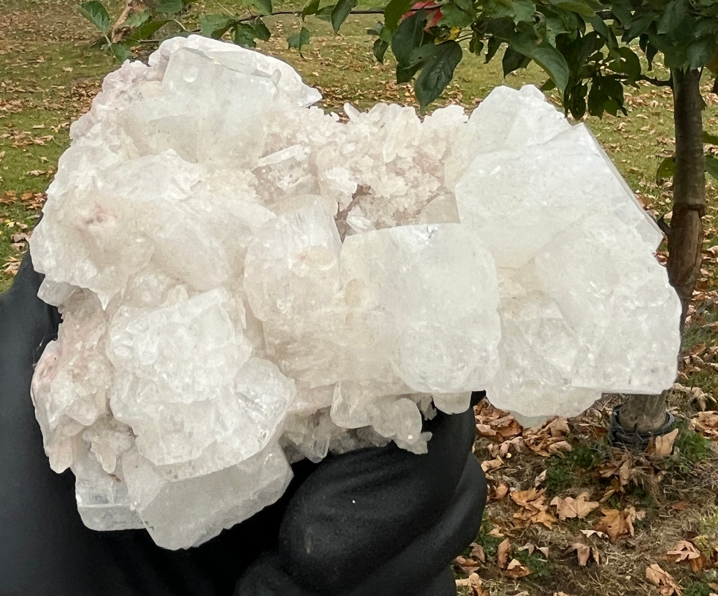 Natural Apophyllite Stilbite Crystal Cluster – High Vibration Druzy Specimen for Healing, Clarity & Spiritual Growth