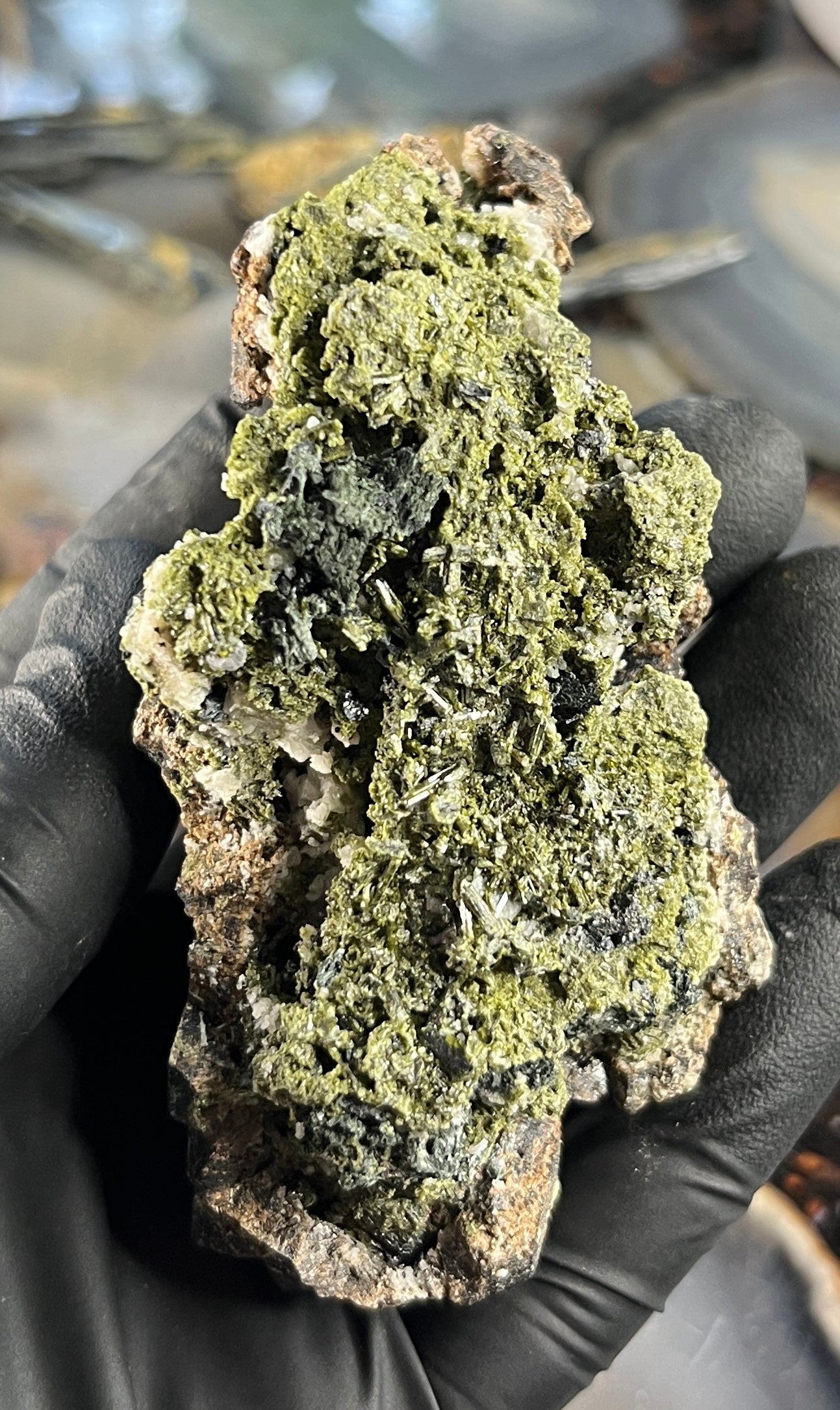Raw Garnet on Epidote Specimen - Natural Dark Burgundy Andradite Garnet Cluster in Green Epidote Matrix - Grounding & Manifestation Crystal - Rare Mineral Specimen