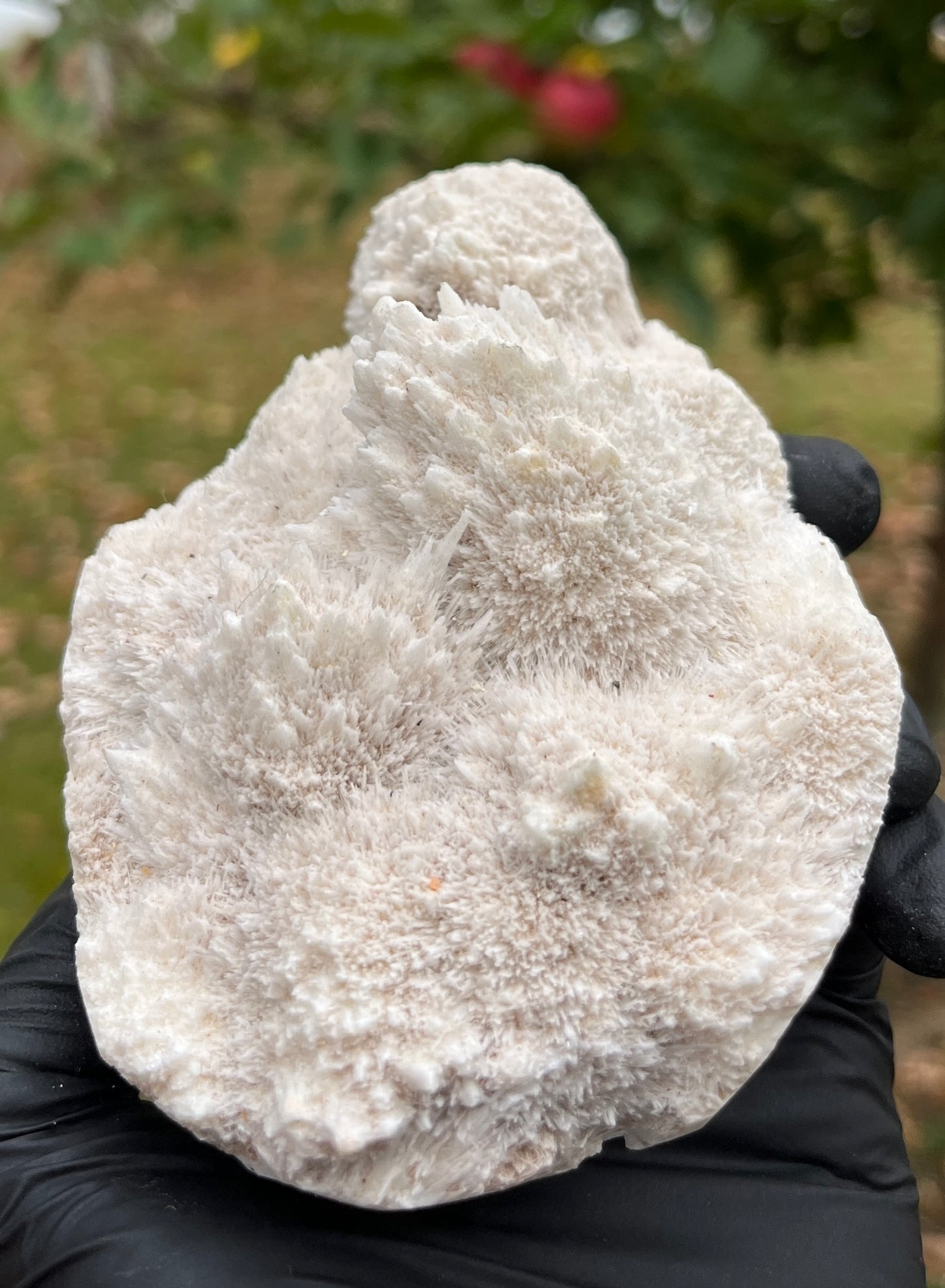 Large Rare Scolecite Specimen | Natural Zeolite Crystal | Unique Spiky Mineral Cluster | High-Vibration Stone for Peace & Tranquility | Crystal Decor
