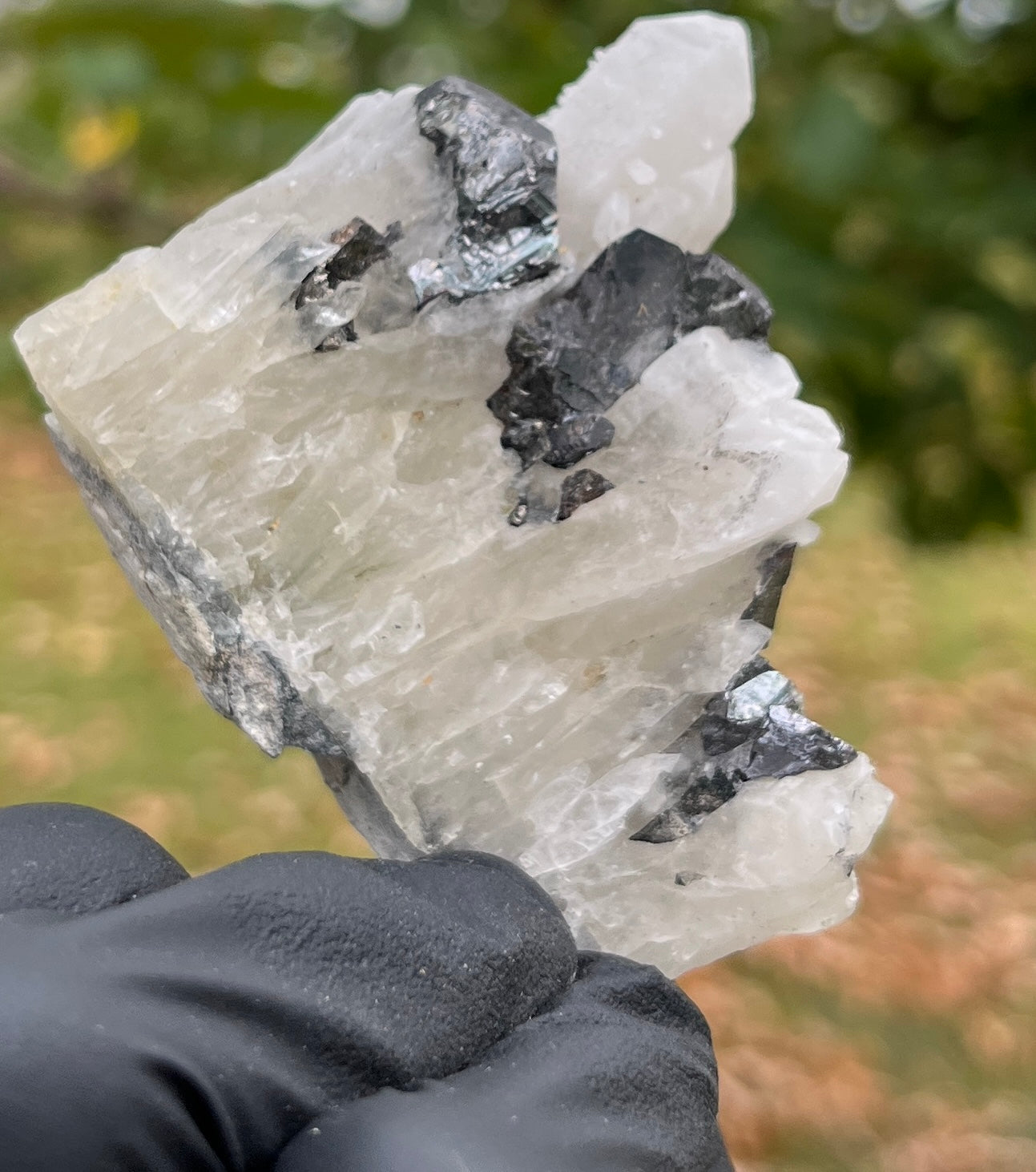 Raw Galena & Quartz Crystal Specimen | Natural Grounding Stone for Protection, Stability & Mineral Collectors