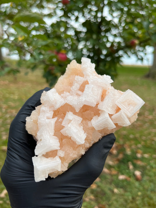 Pink Halite (Salt) Crystal from USA | Natural Salt Crystal Cluster | Cleansing, Purification & High-Vibration Stone