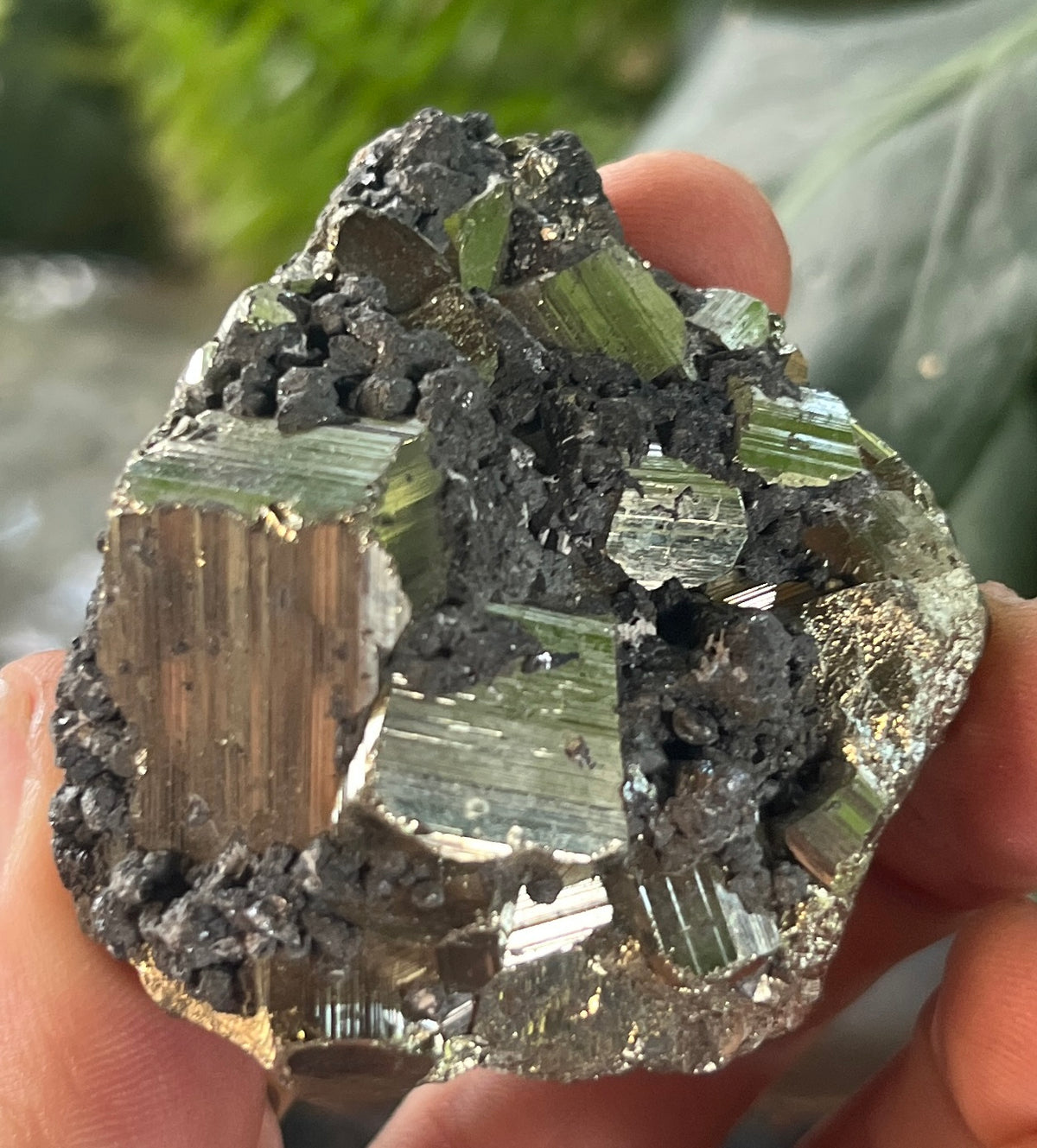 Raw Pyrite Cluster with Striated Cubes & Sphalerite Matrix