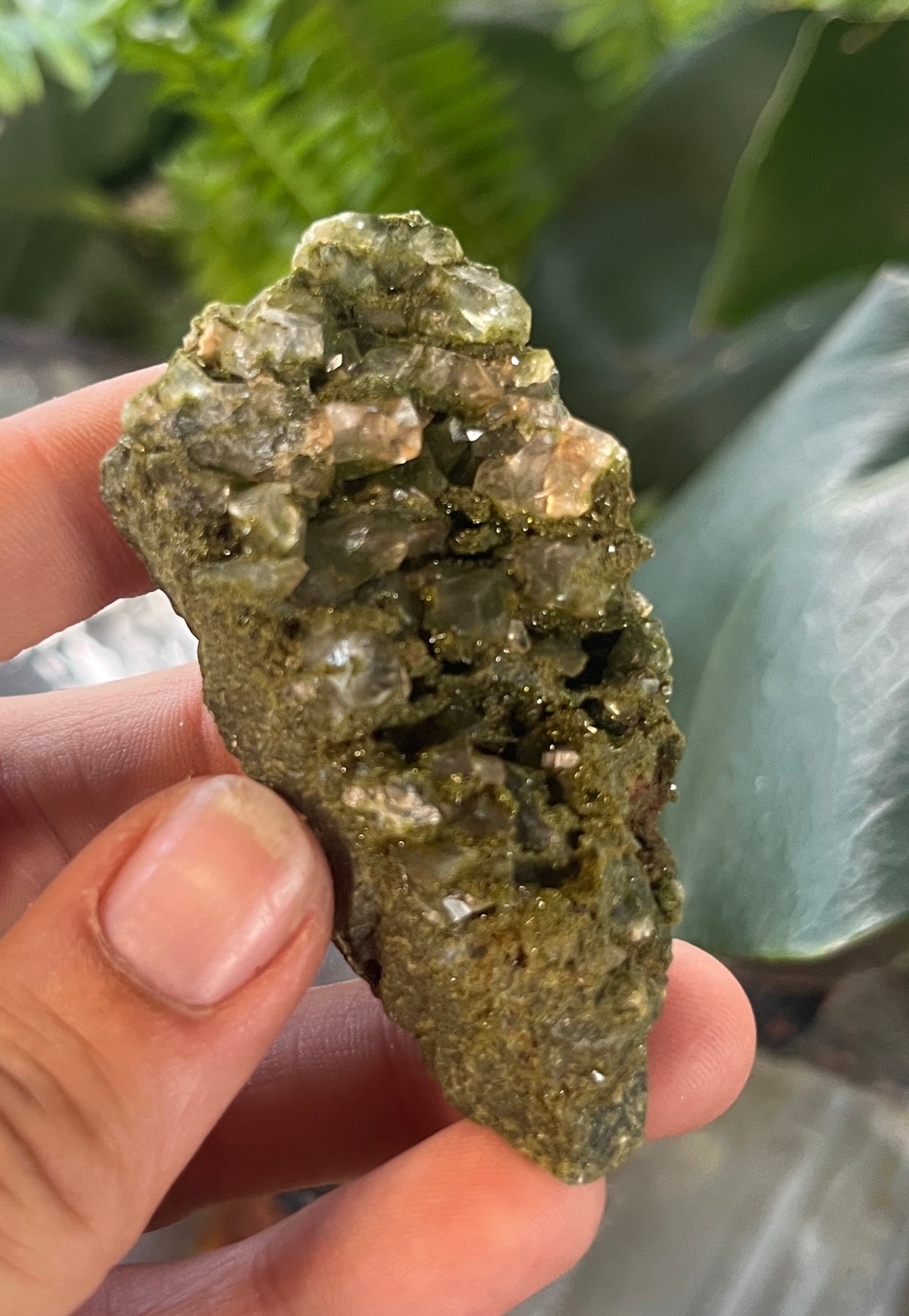 Rare Forest Epidote with Druzy Quartz – Sparkling Green Growth Crystal