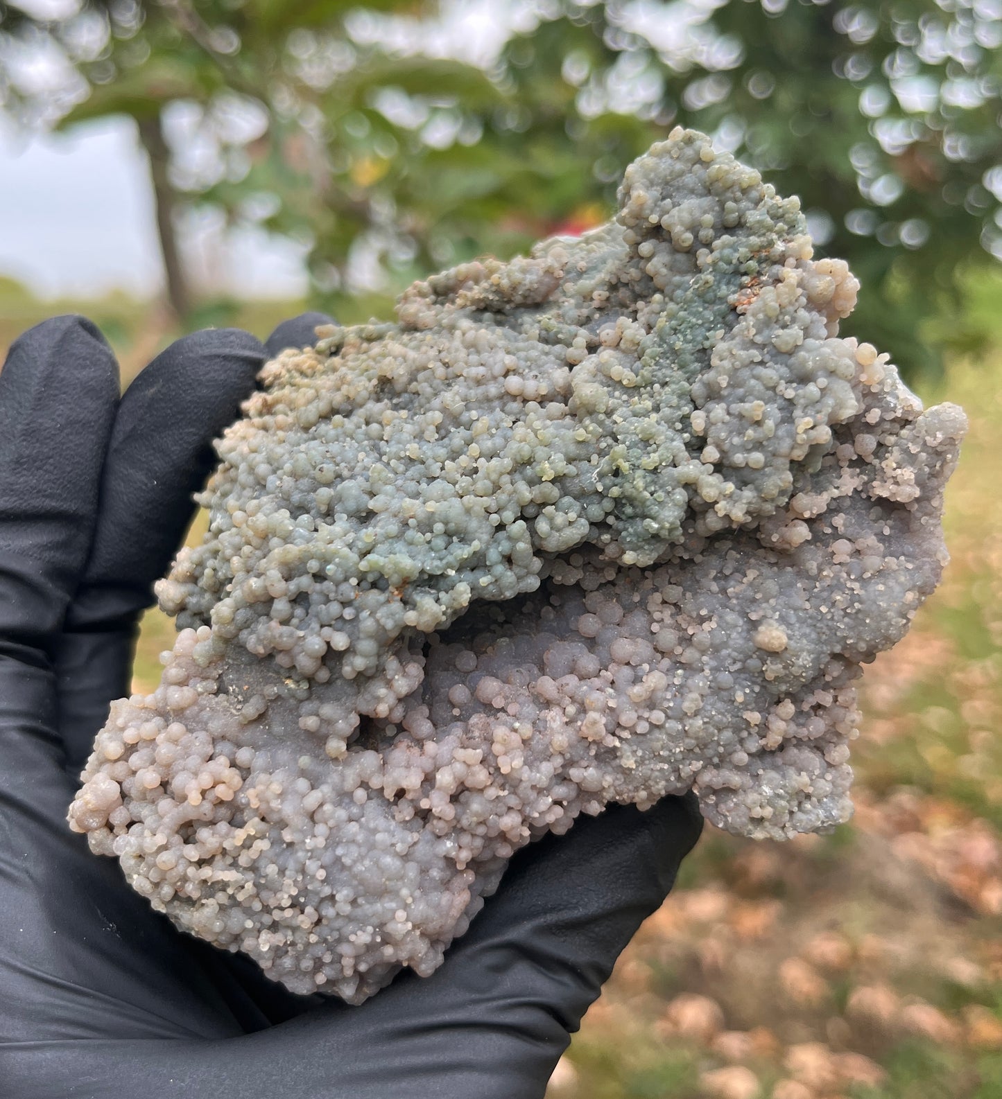 Grape Agate Geode | Botryoidal Chalcedony Crystal Cluster | Raw Mineral Specimen | Home Decor & Collector Piece