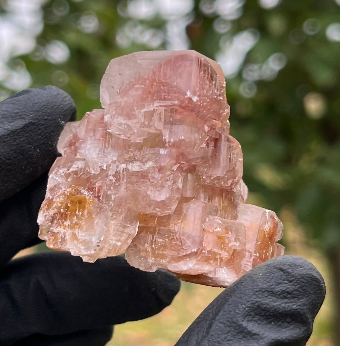 Red Phantom Calcite Cluster | Rare Natural Crystal | Healing Stone for Energy & Motivation