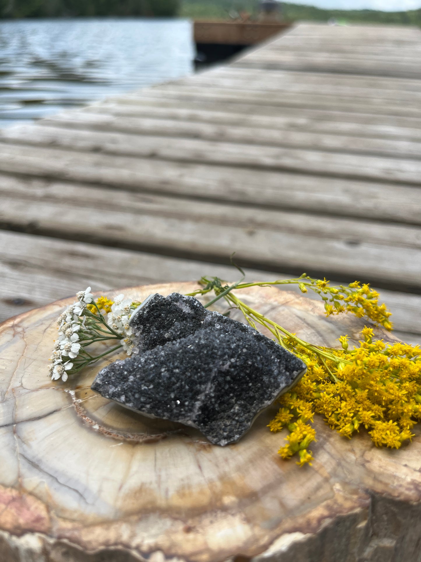Raw Rare Black Amethyst Cluster - Deep Charcoal Druzy Geode Specimen from