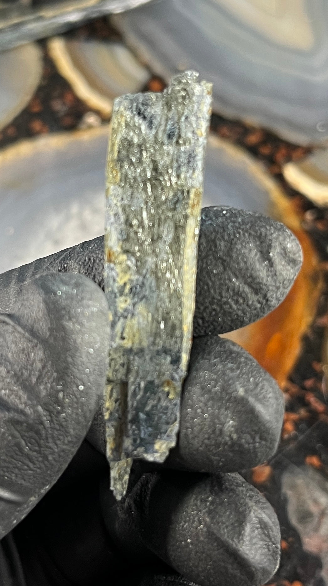 Vivianite Crystal from Brazil | Rare Dark Green Mineral Specimen for Self-Reflection & Insight